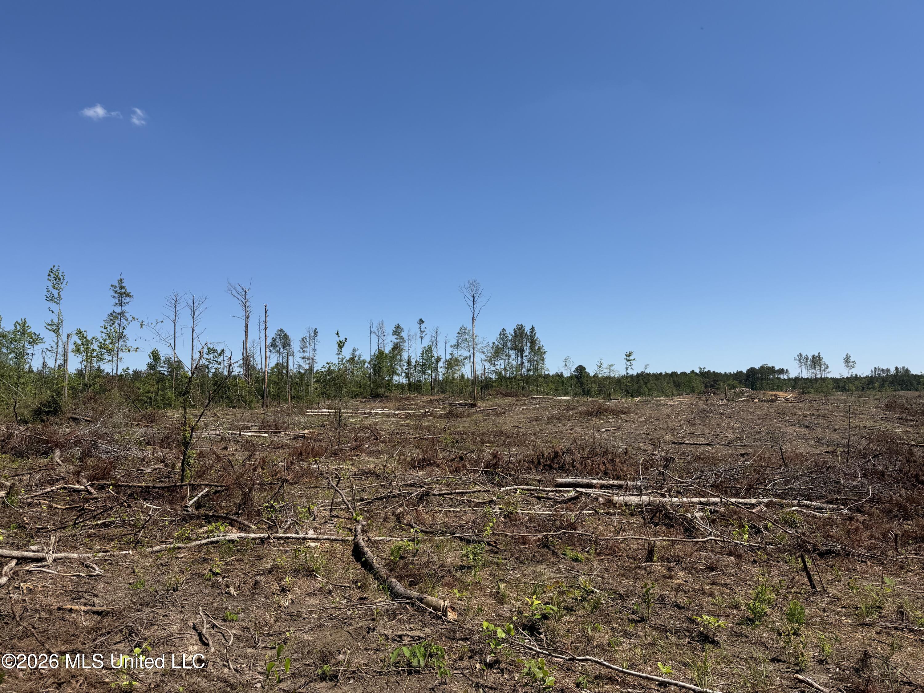 Couparle Road Property Photo 28