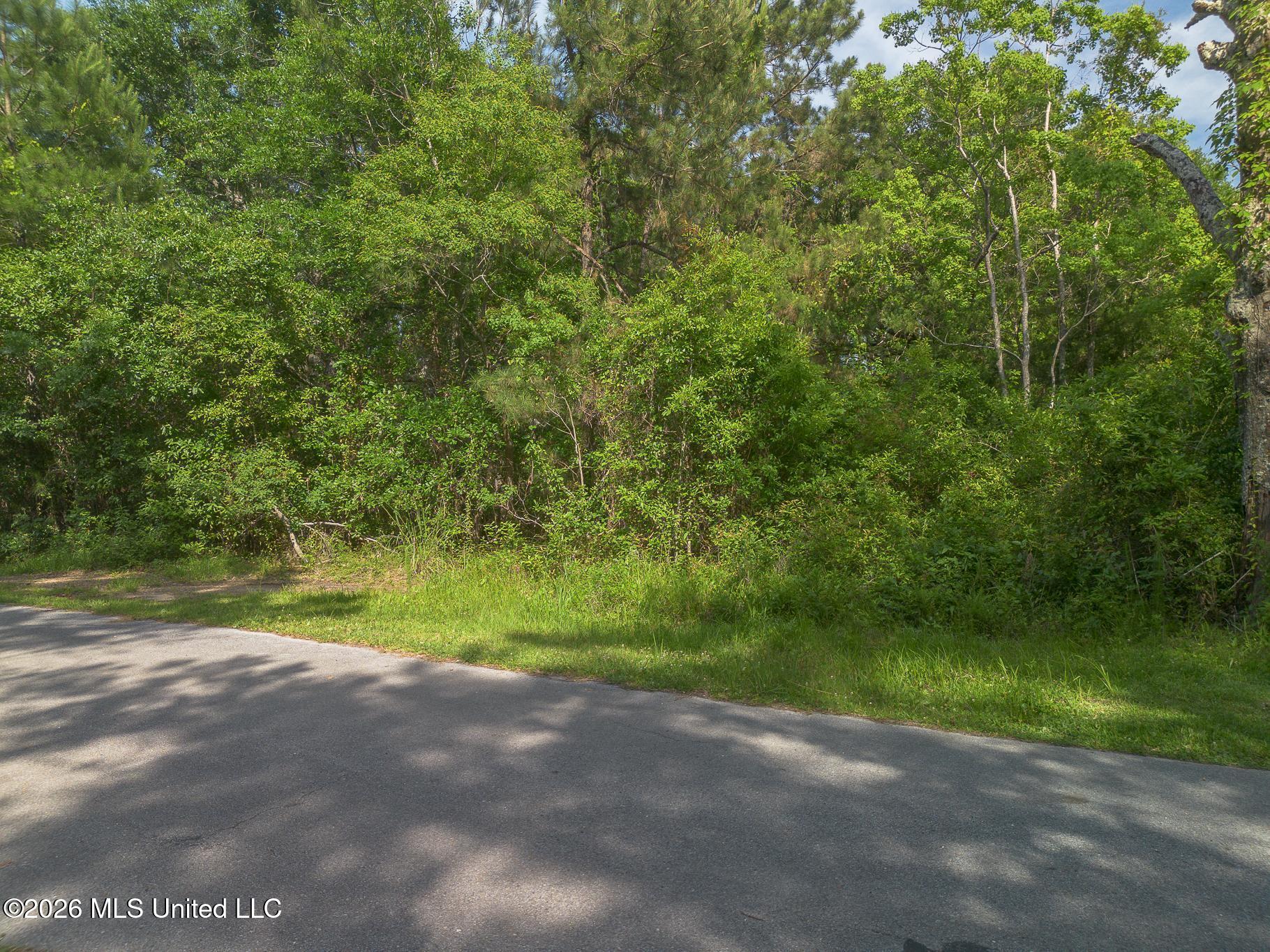 6606 Bridge View Drive Property Photo 2