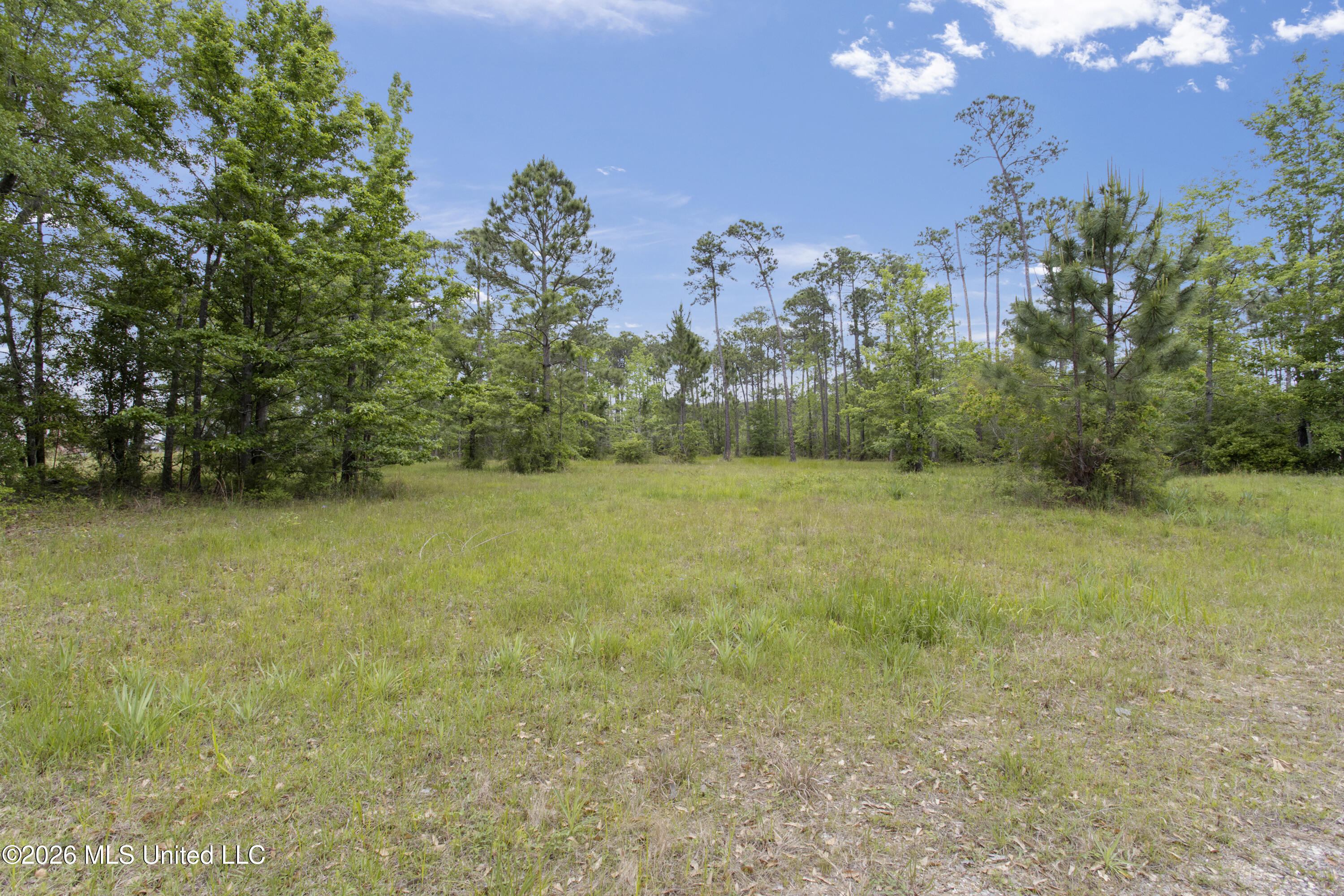 0 Hummingbird Lane Property Photo 3