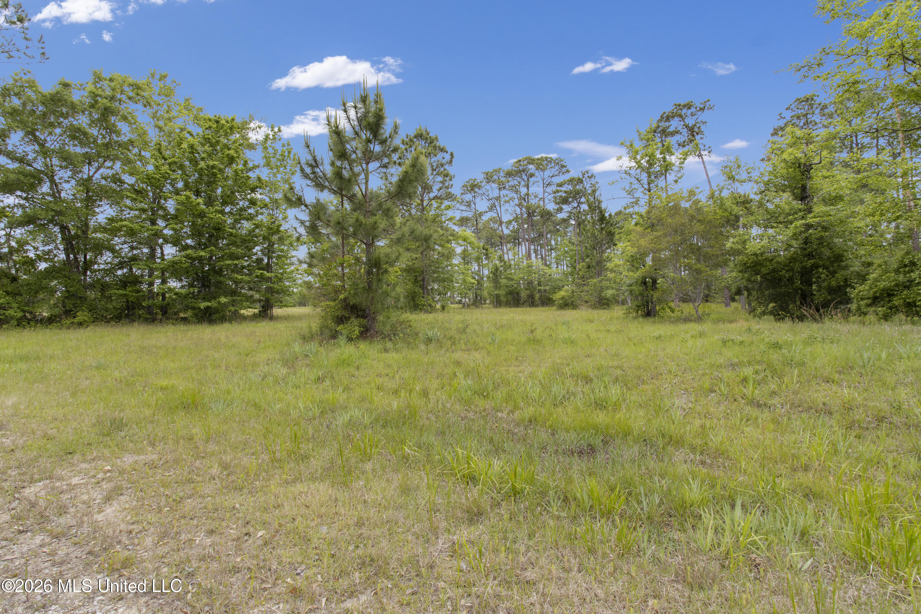 0 Hummingbird Lane Property Photo 4