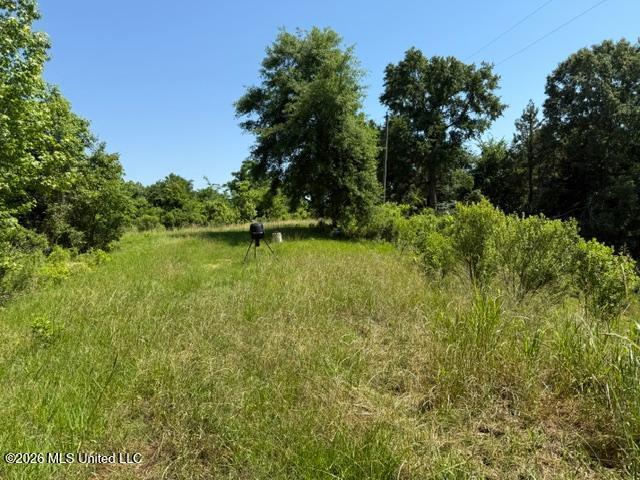 53 Cliffs Plantation Road Property Photo 1