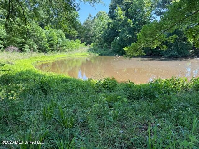 53 Cliffs Plantation Road Property Photo 2