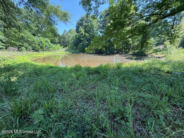 53 Cliffs Plantation Road Property Photo 3