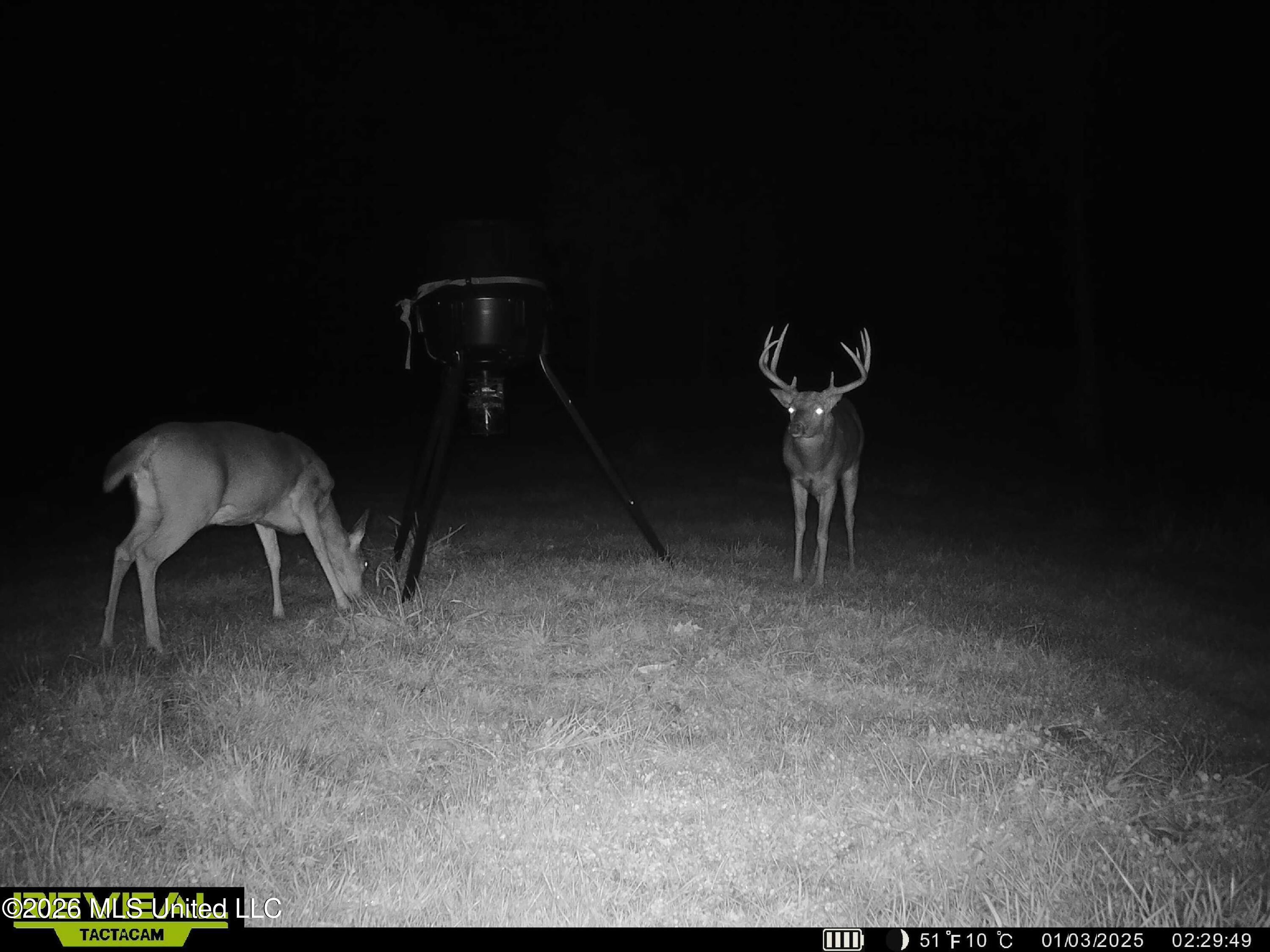 53 Cliffs Plantation Road Property Photo 7