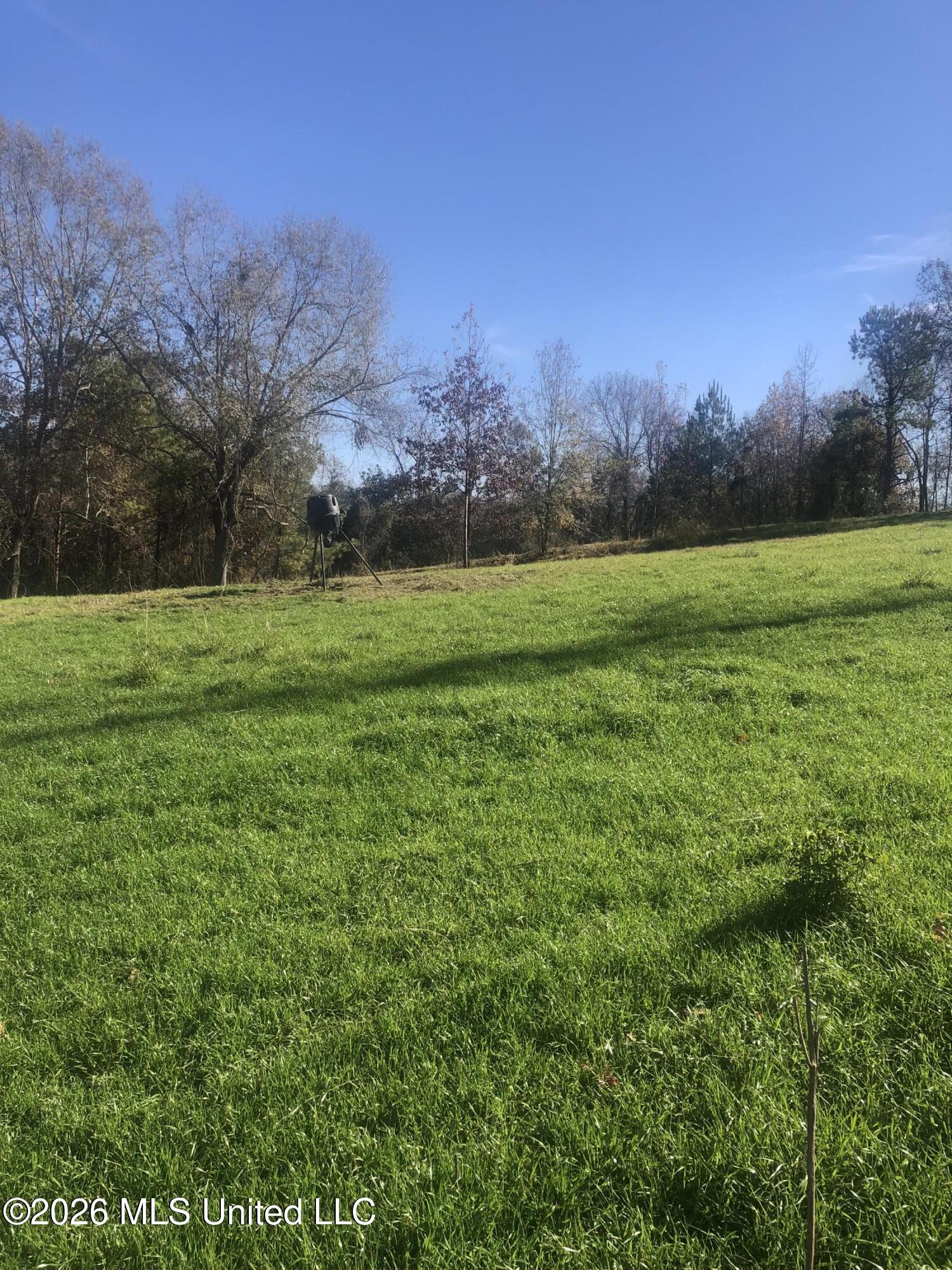 53 Cliffs Plantation Road Property Photo 11