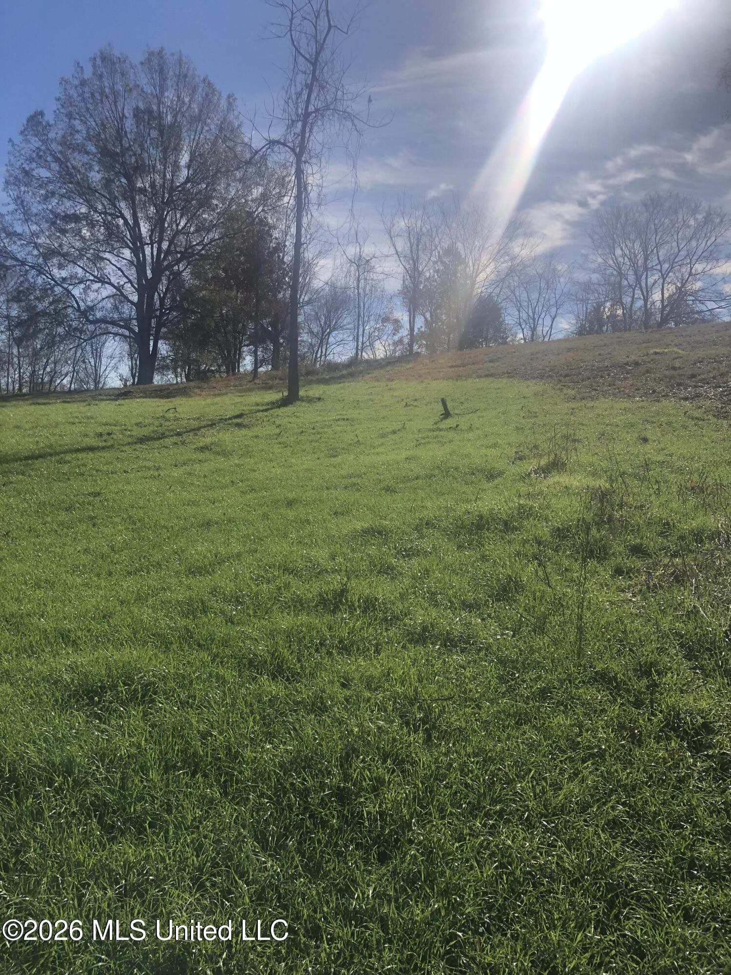 53 Cliffs Plantation Road Property Photo 12