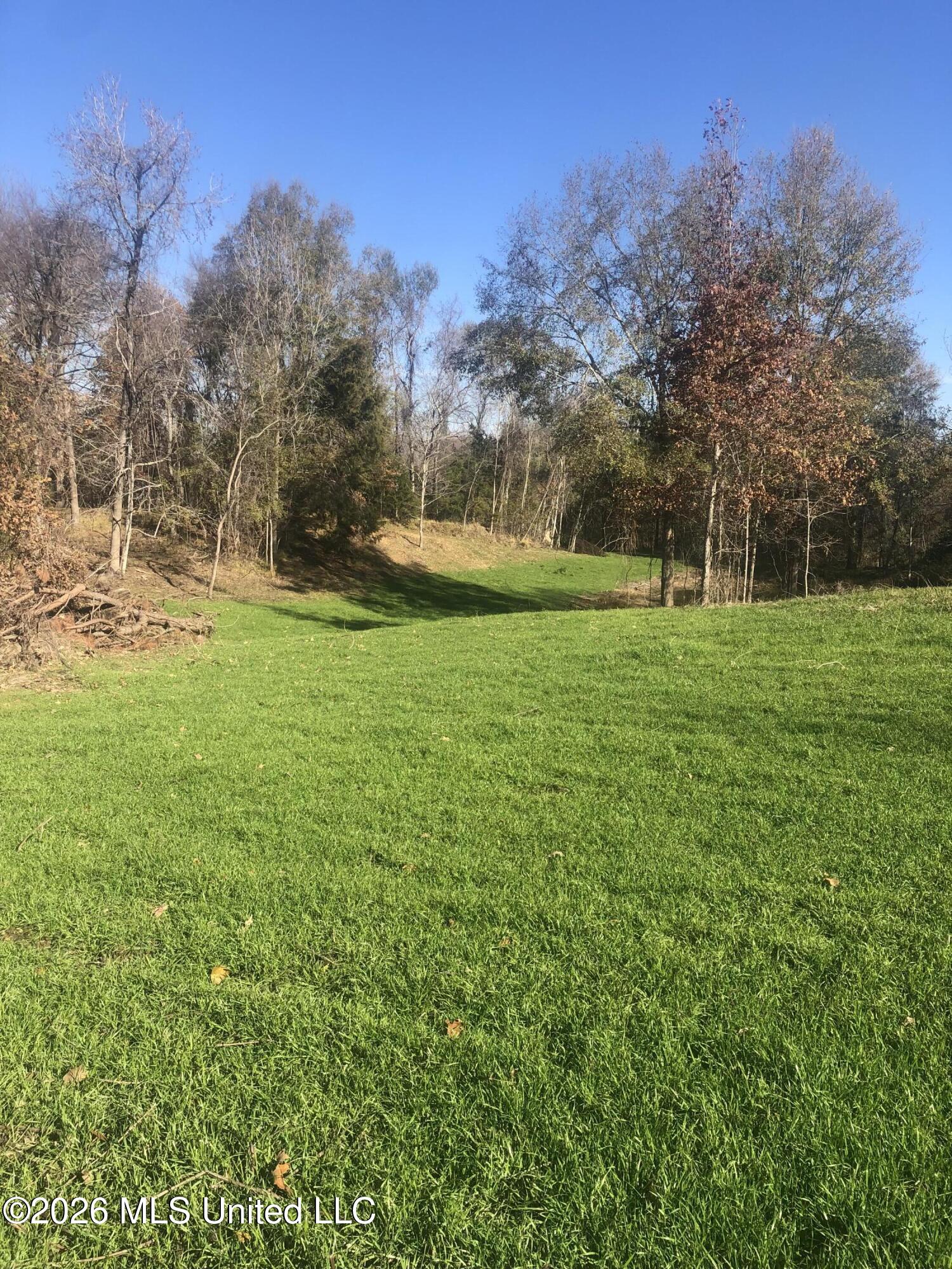 53 Cliffs Plantation Road Property Photo 13