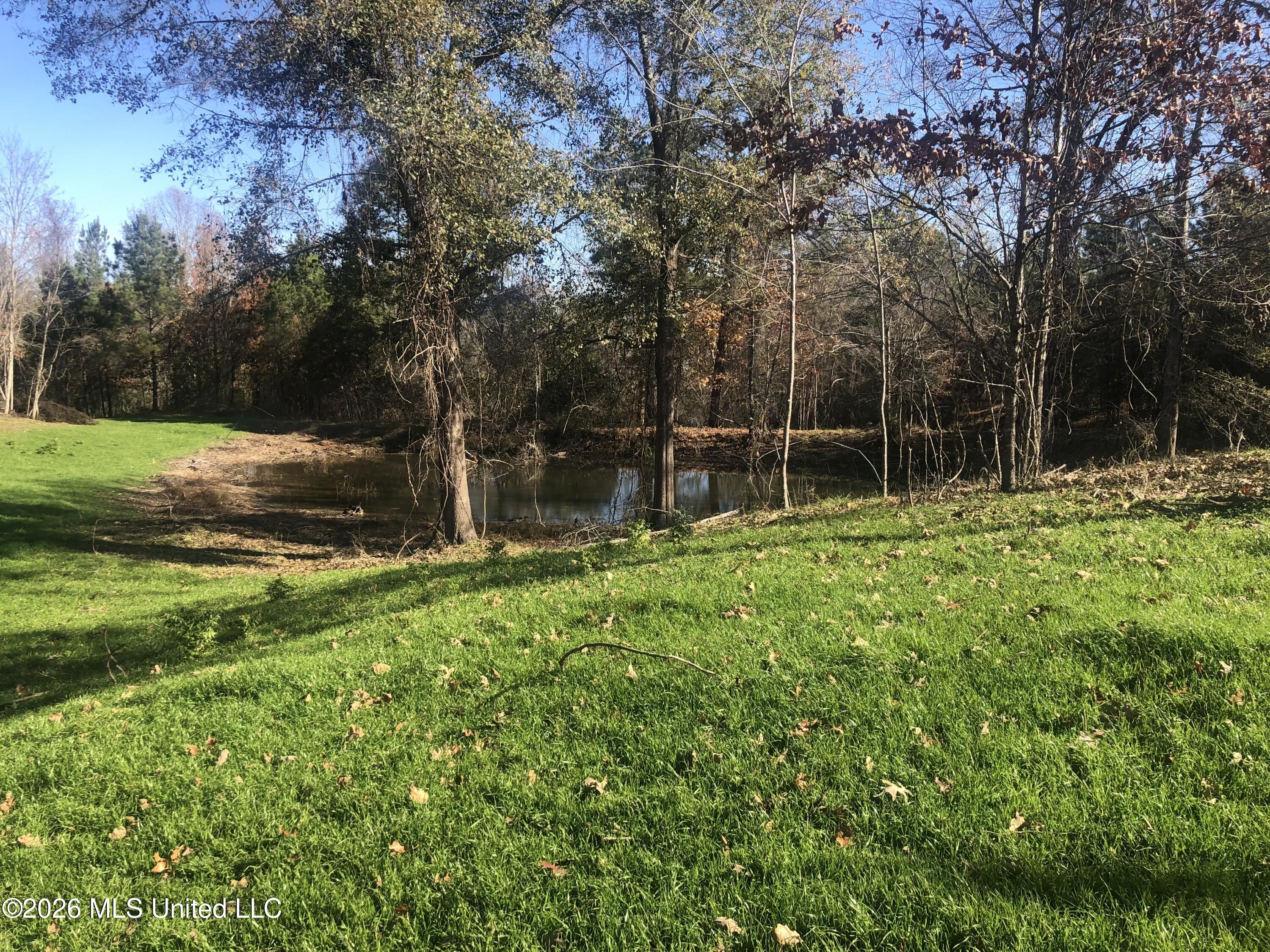 53 Cliffs Plantation Road Property Photo 14