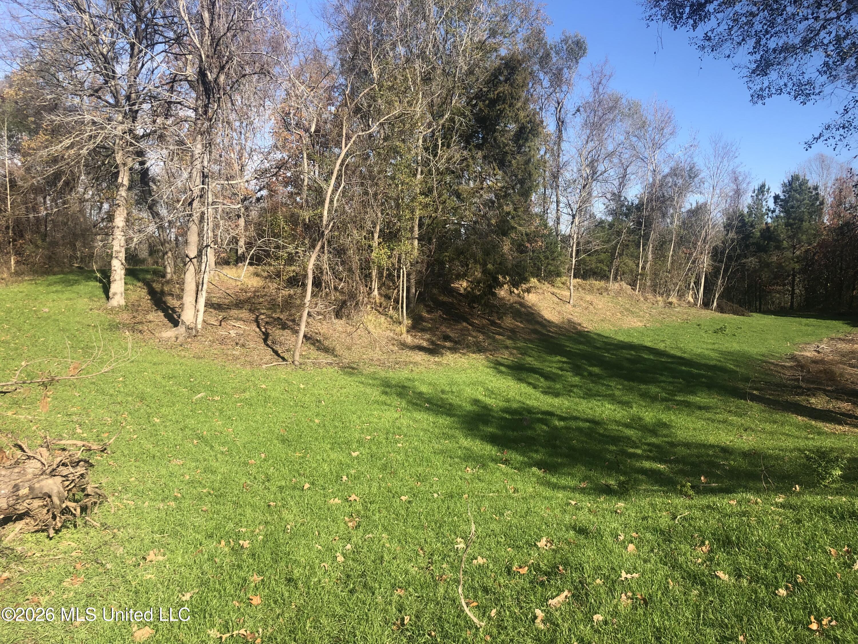 53 Cliffs Plantation Road Property Photo 15