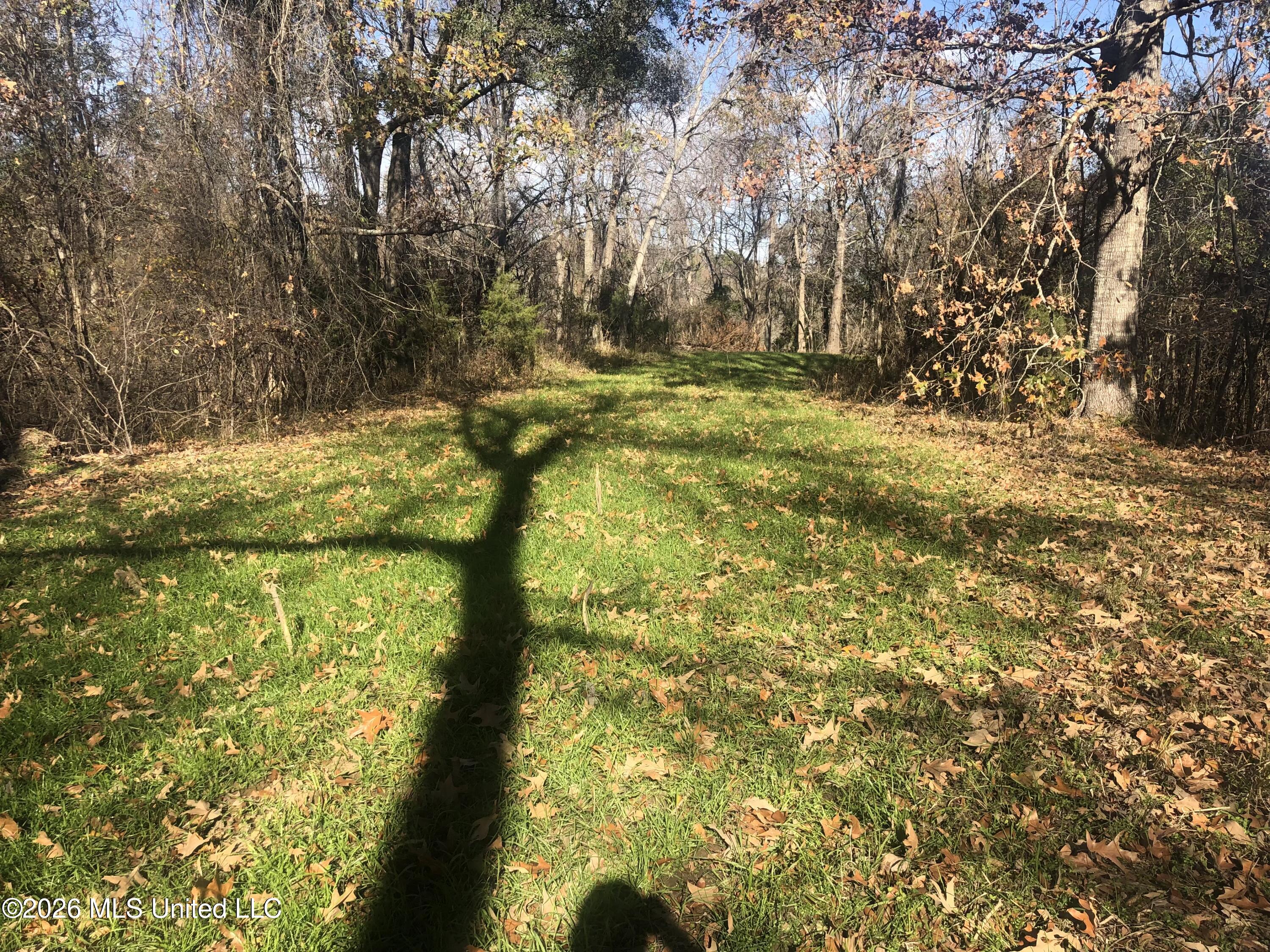 53 Cliffs Plantation Road Property Photo 16