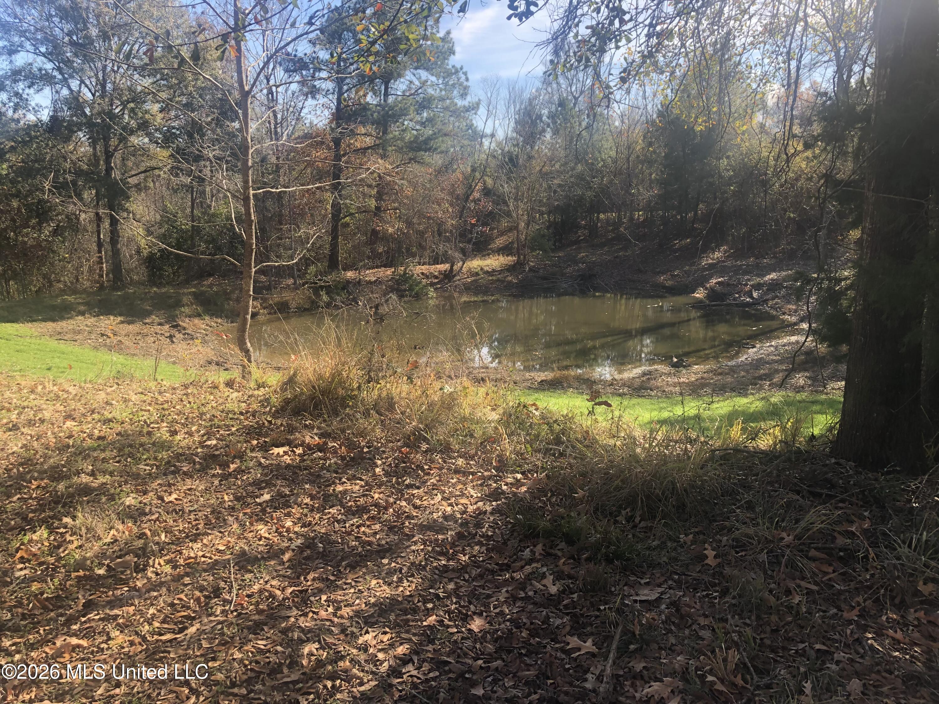53 Cliffs Plantation Road Property Photo 17