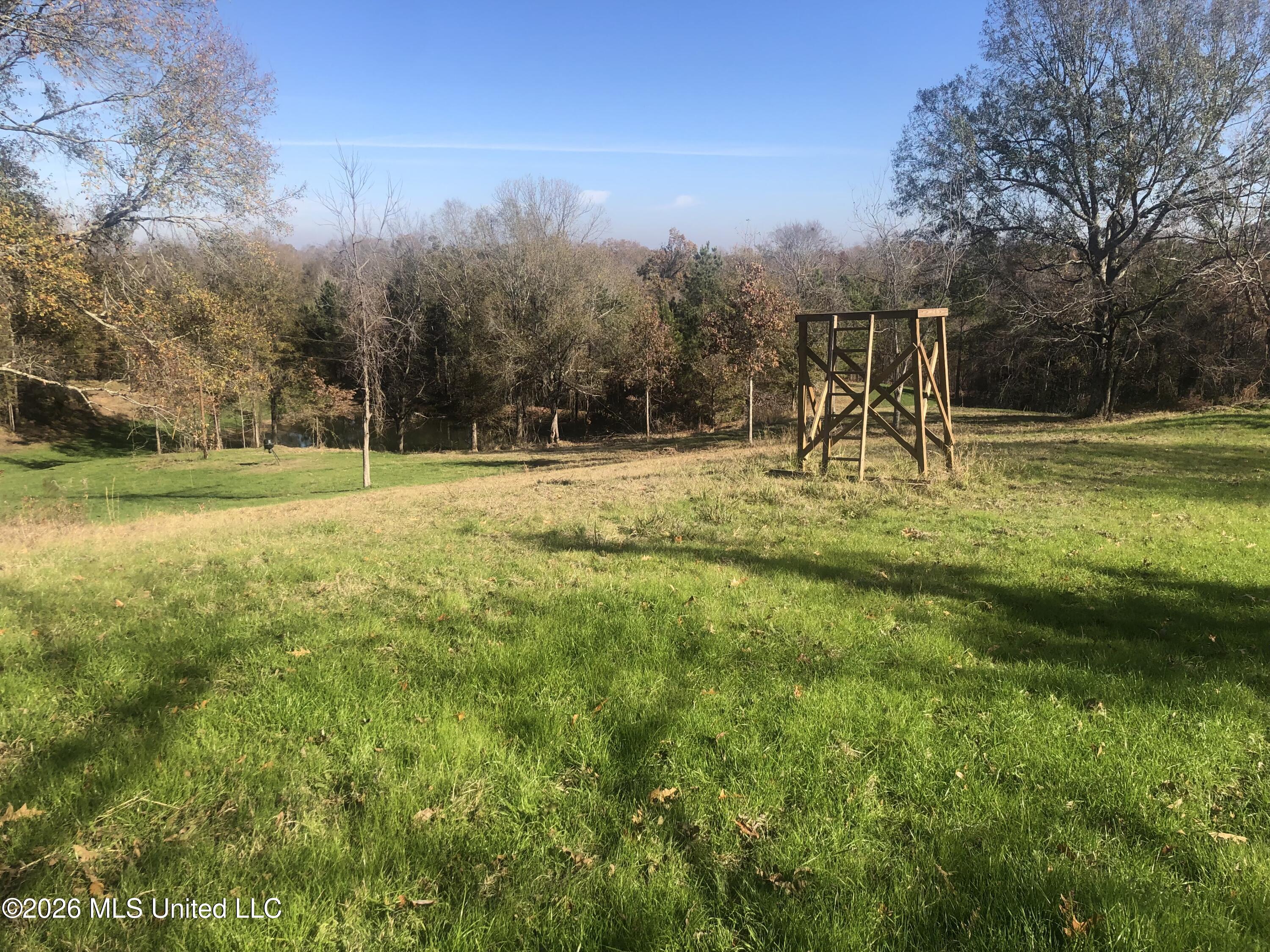 53 Cliffs Plantation Road Property Photo 18