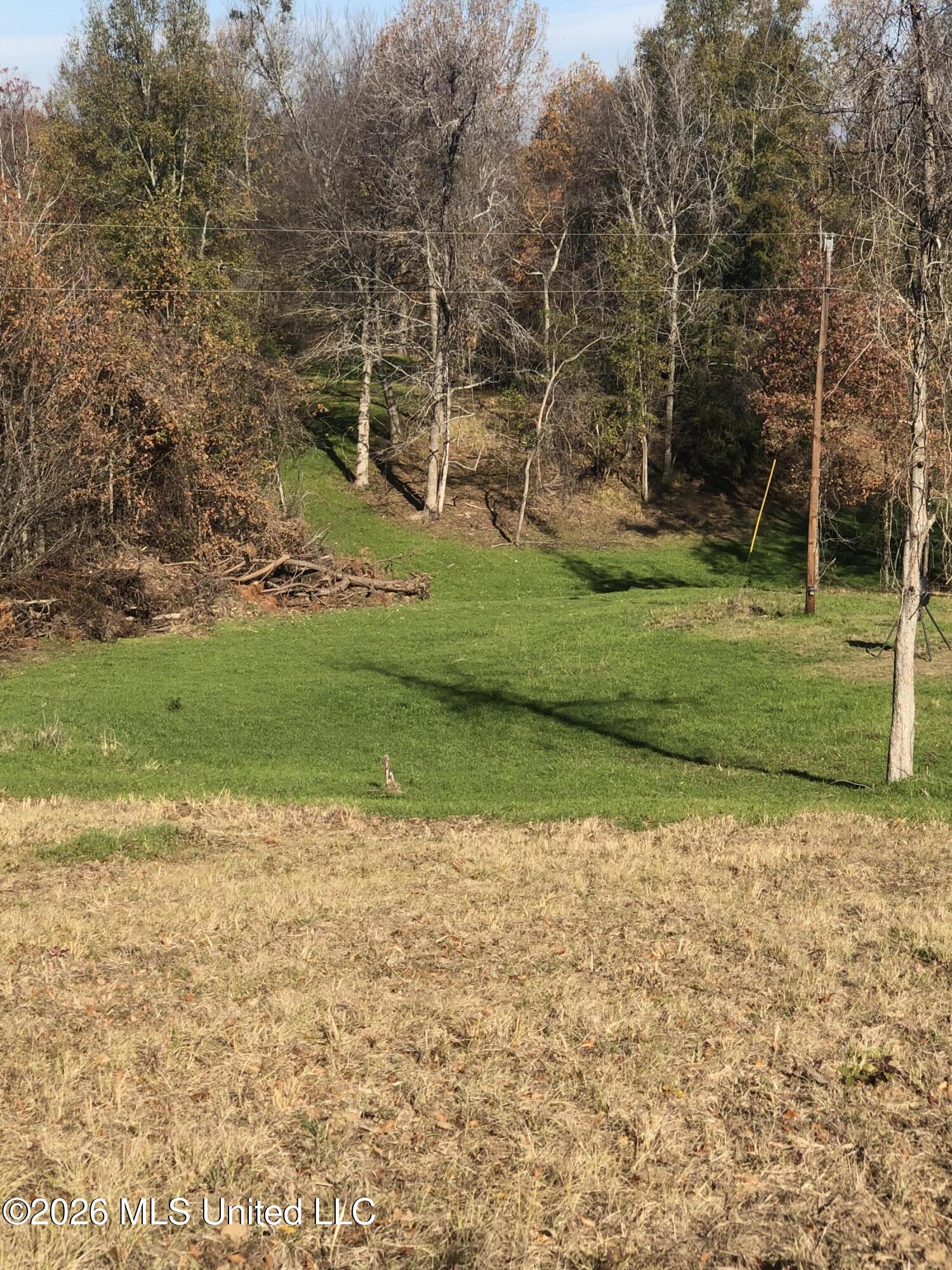 53 Cliffs Plantation Road Property Photo 19