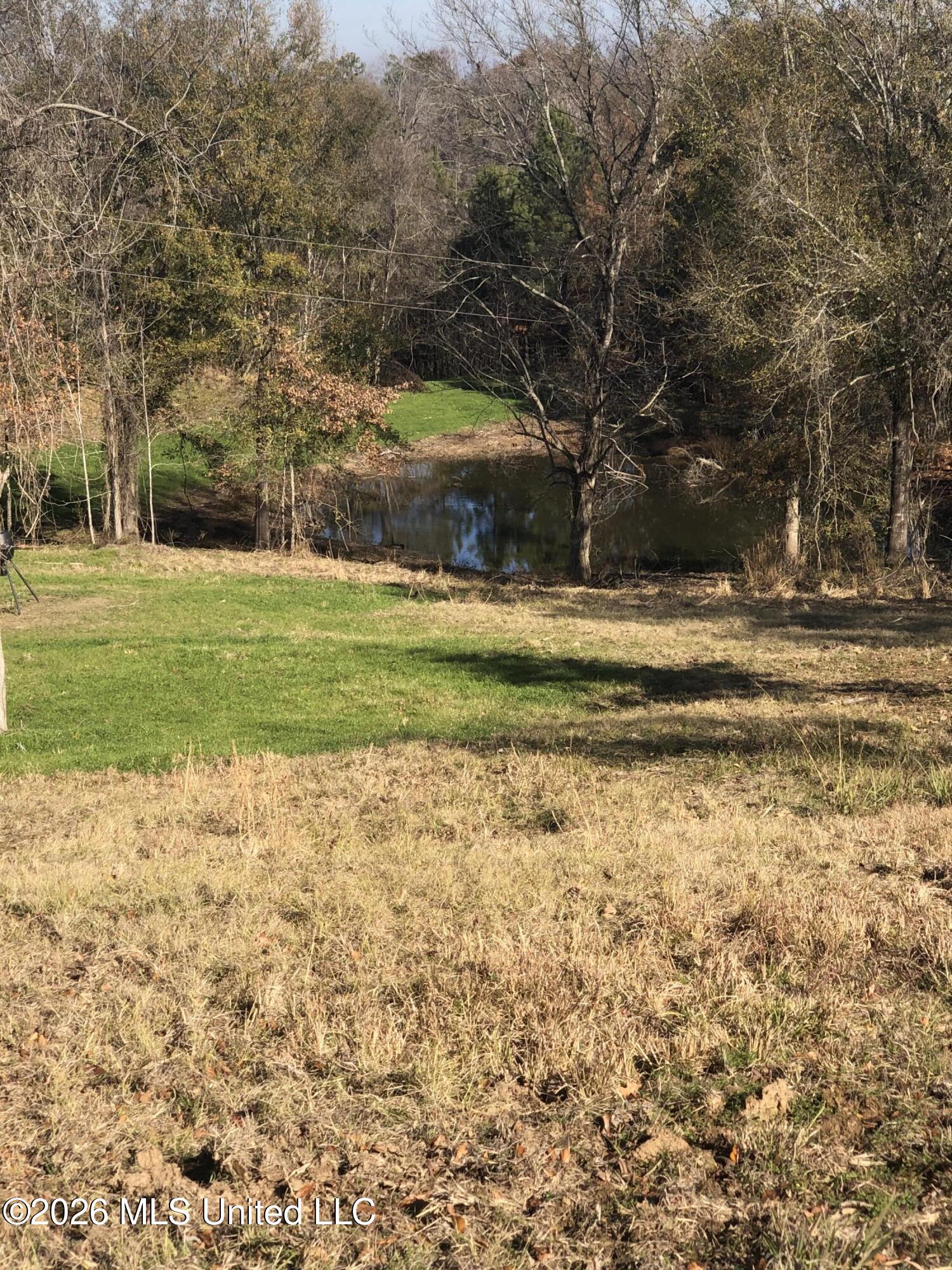 53 Cliffs Plantation Road Property Photo 20