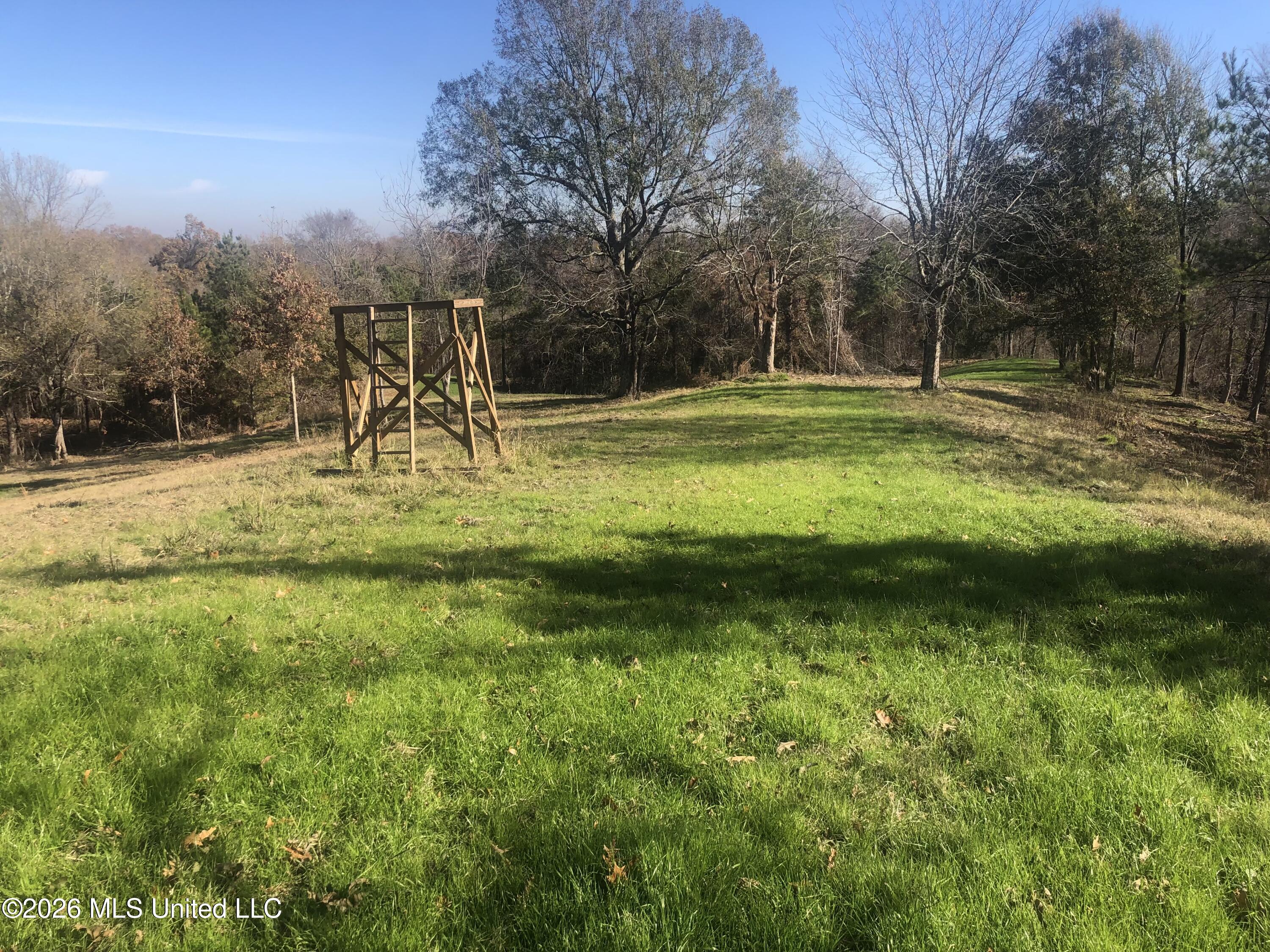 53 Cliffs Plantation Road Property Photo 21
