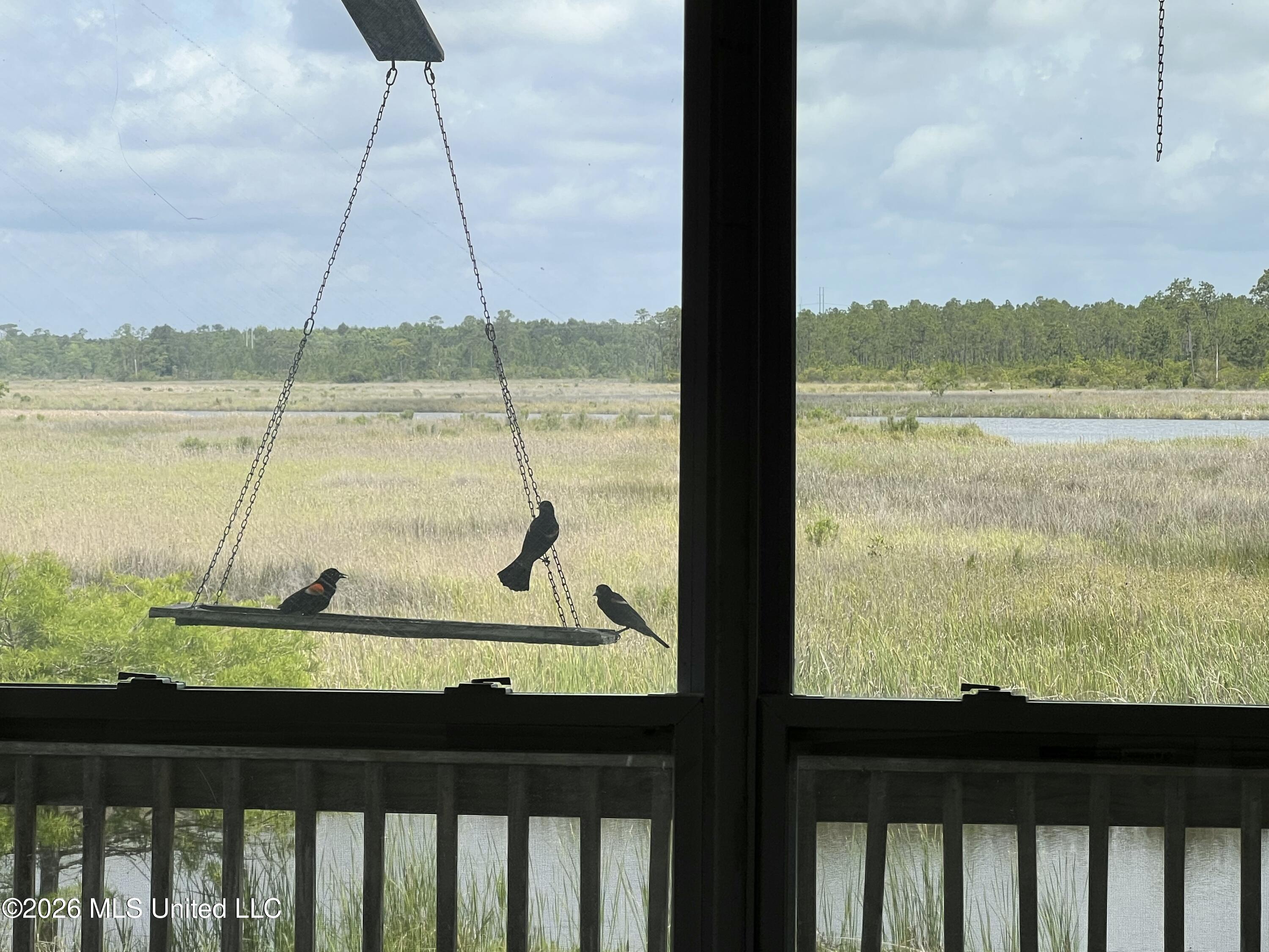 11053 N Shore Drive Property Photo 3