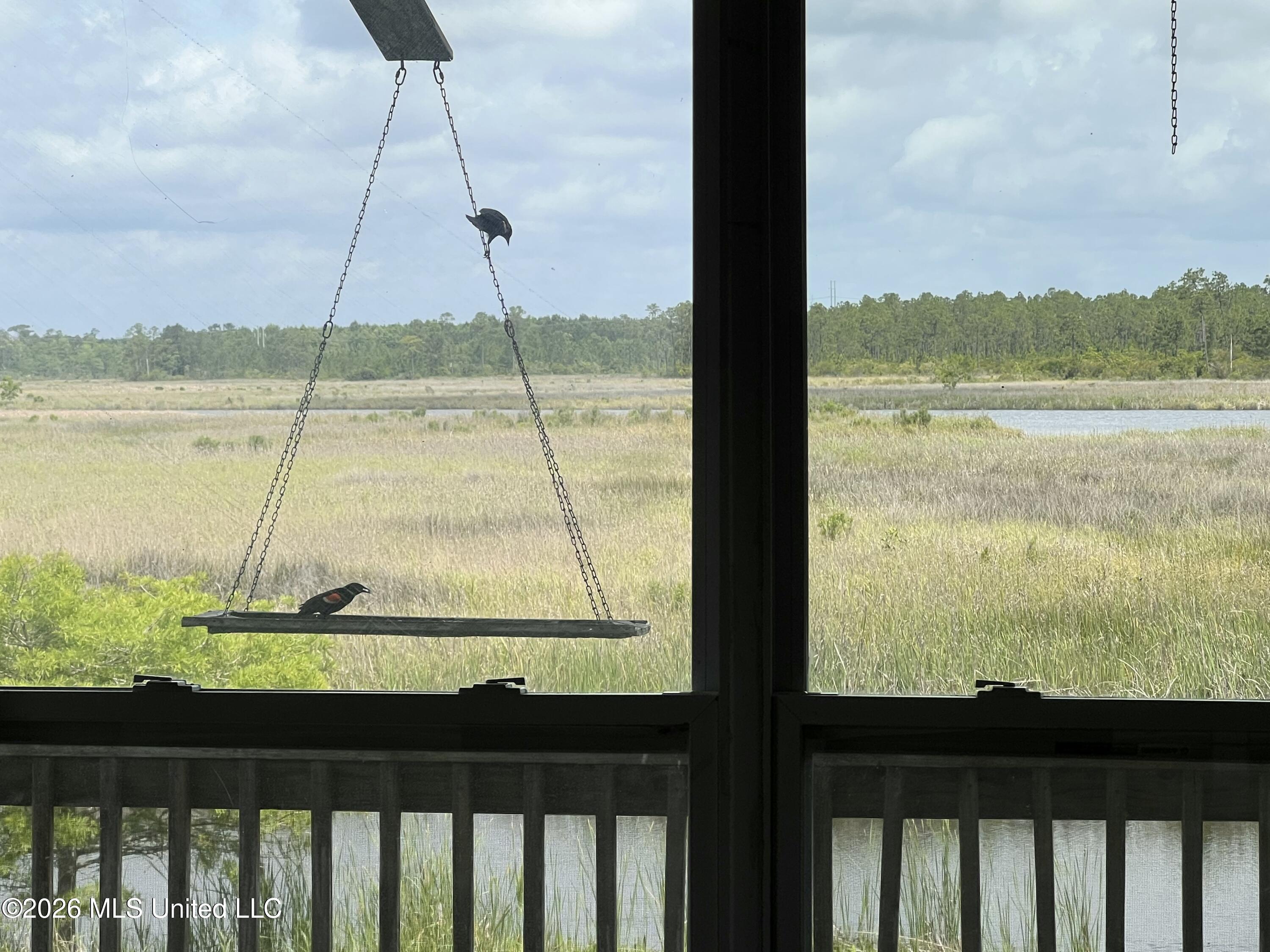 11053 N Shore Drive Property Photo 43
