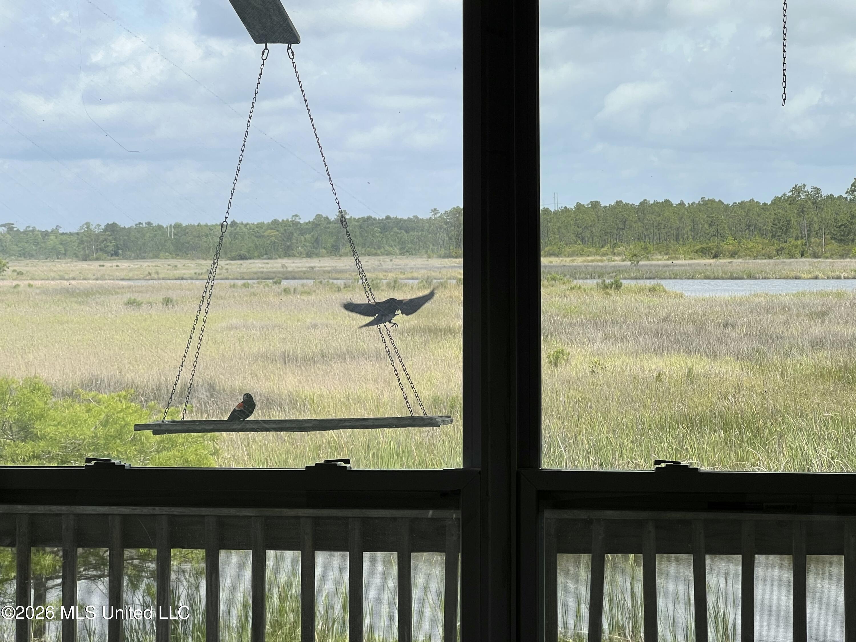 11053 N Shore Drive Property Photo 44