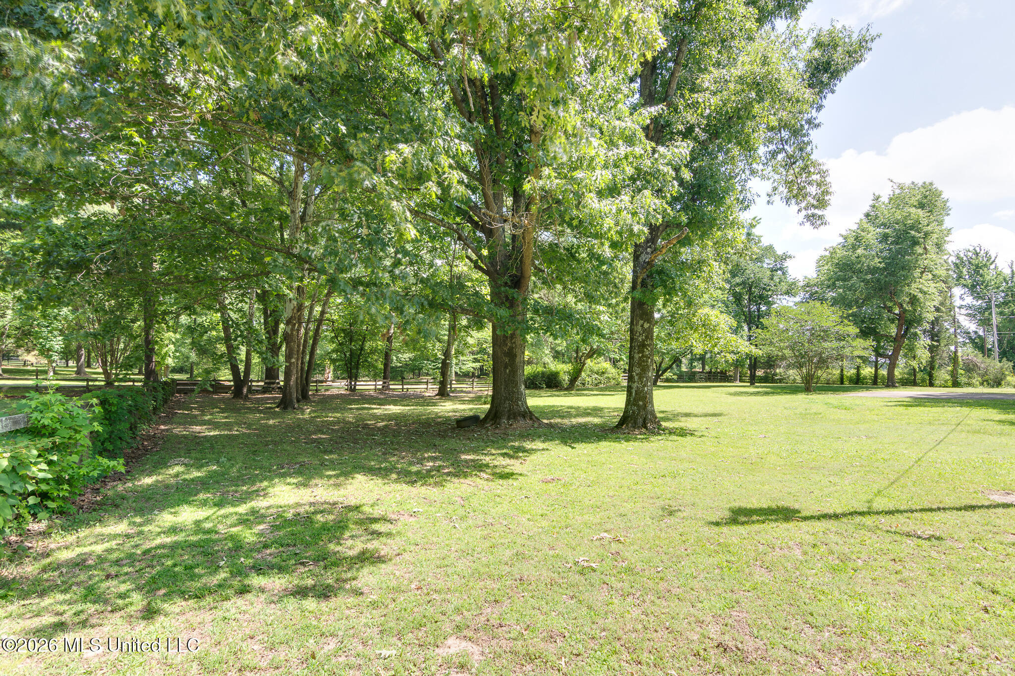 993 Quinn Road Property Photo 55