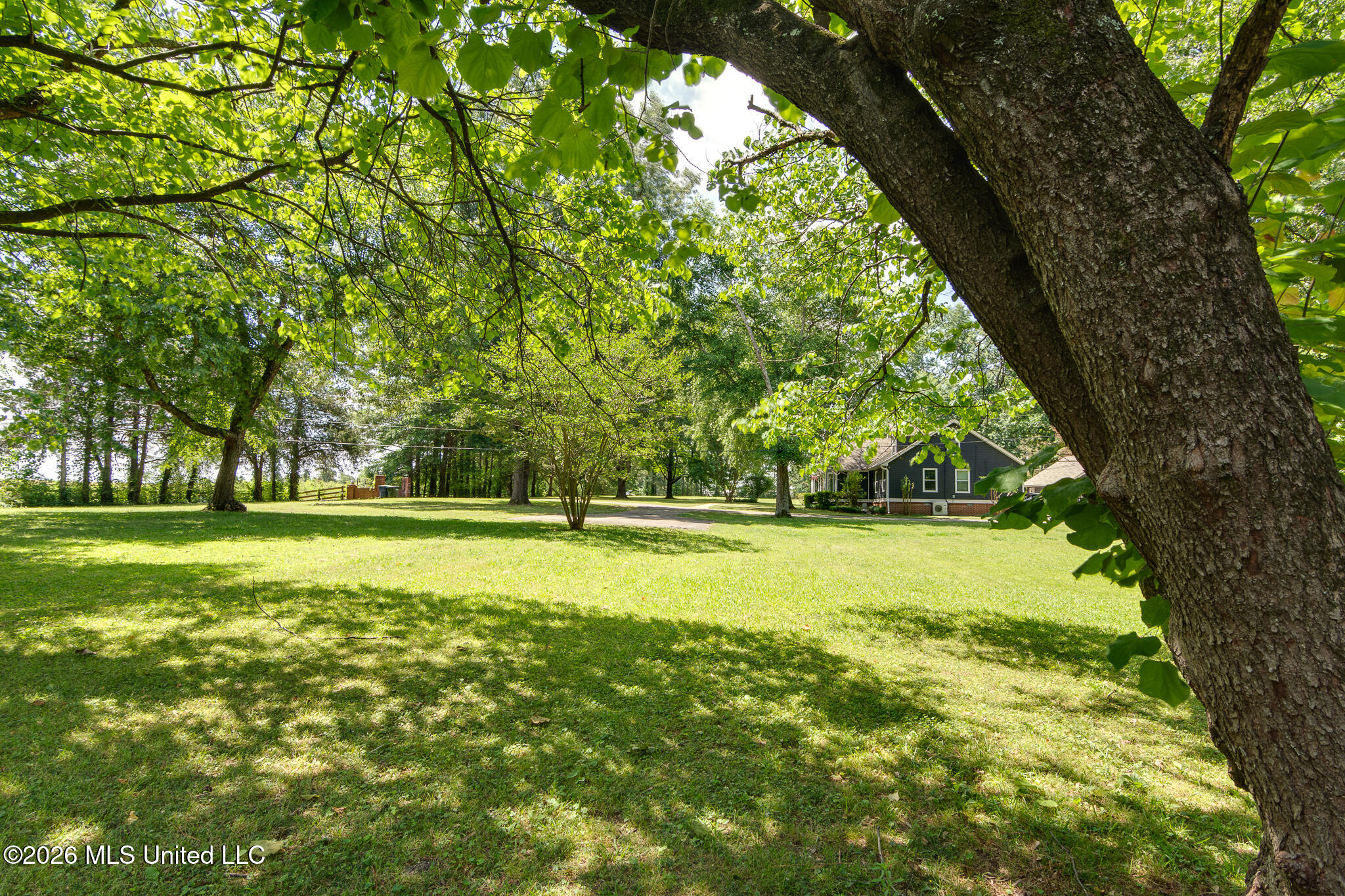 993 Quinn Road Property Photo 58