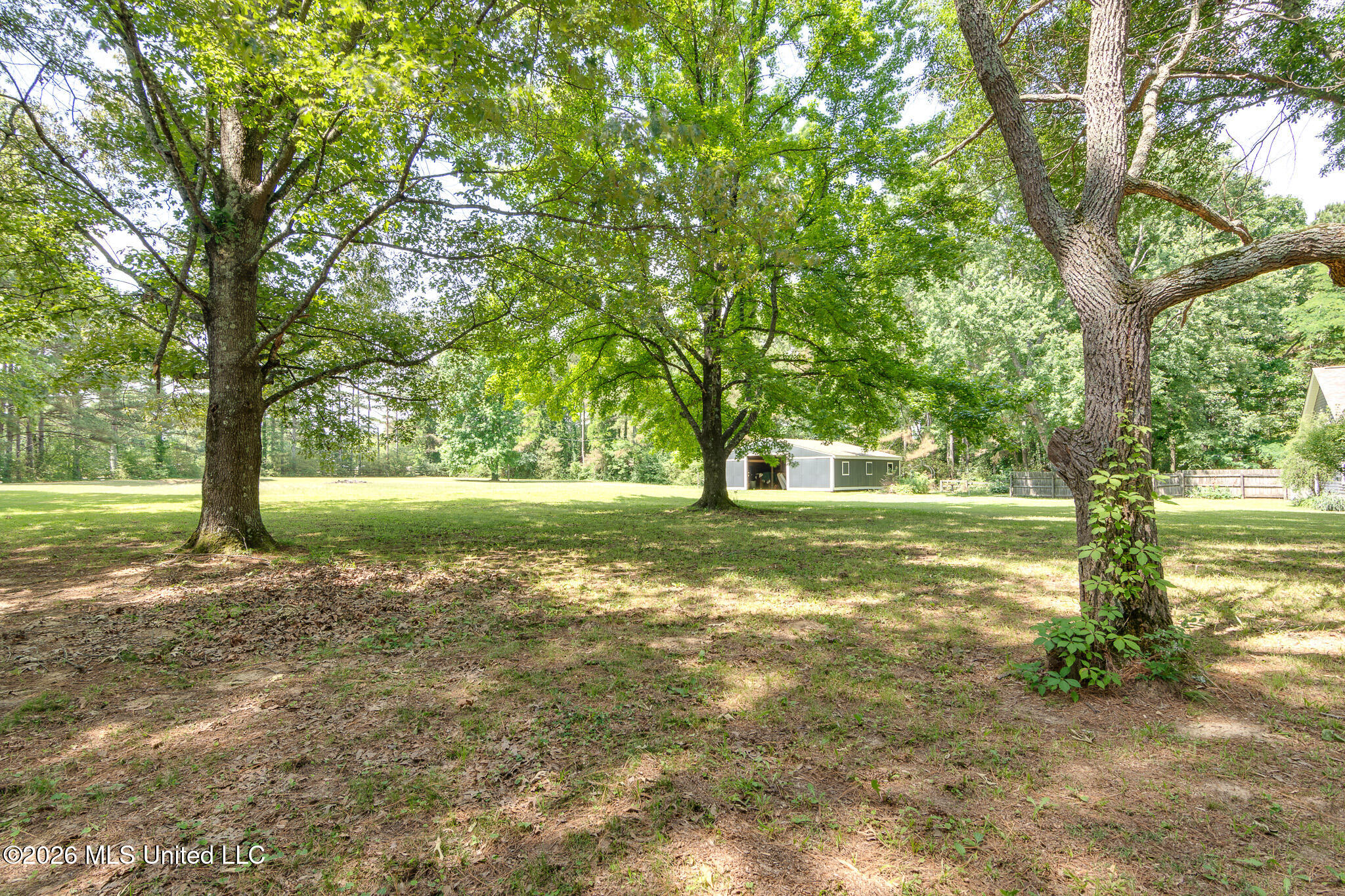 993 Quinn Road Property Photo 62