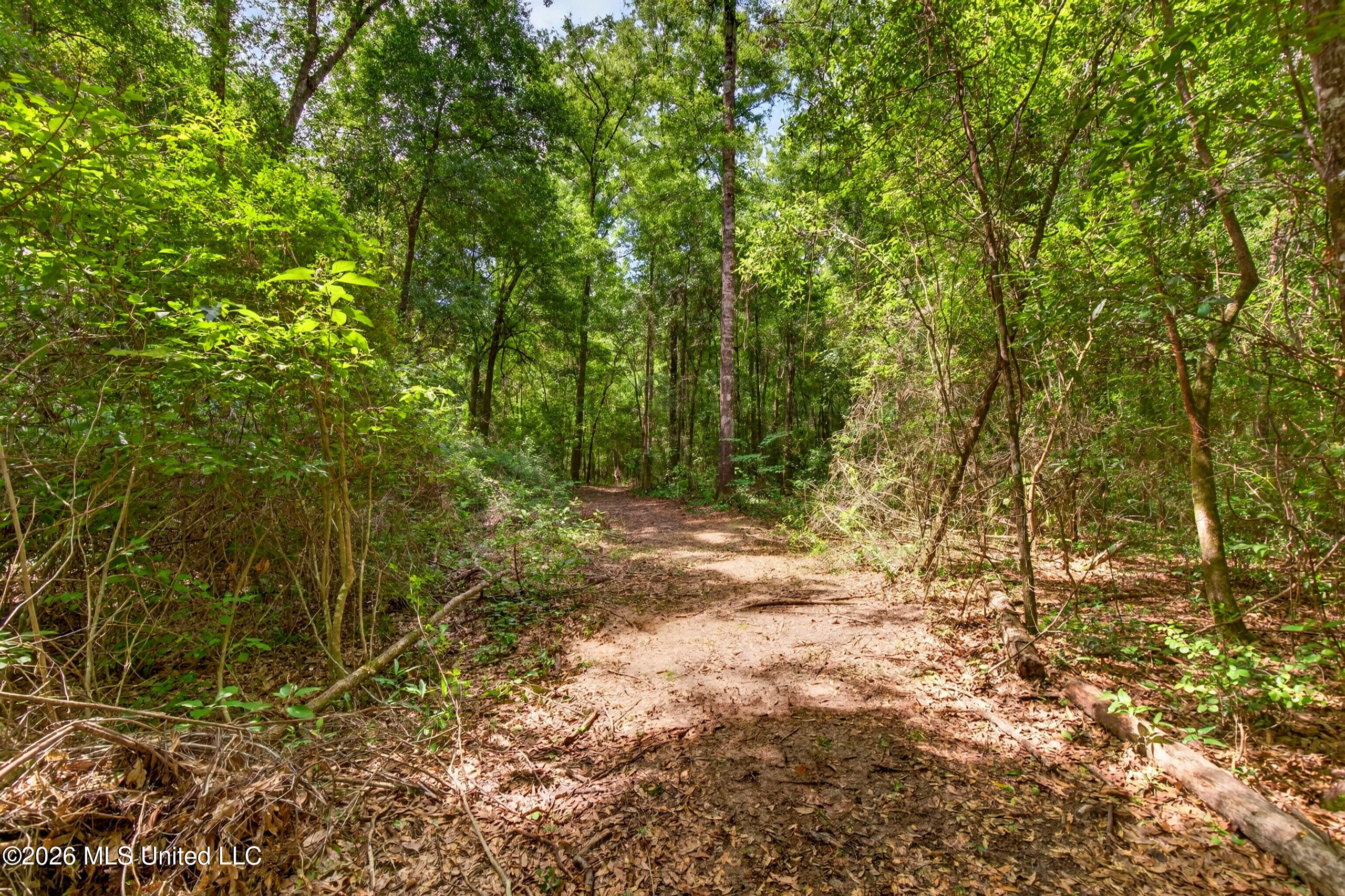 78 Game Reserve Road Property Photo 58