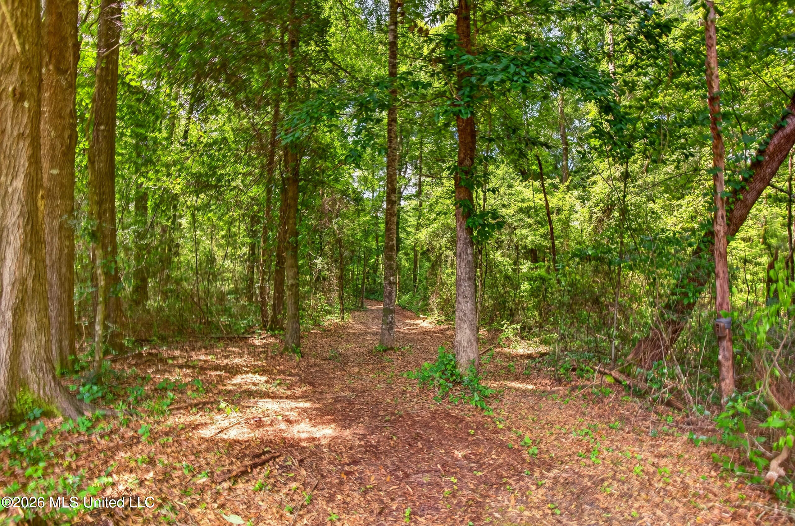 78 Game Reserve Road Property Photo 60