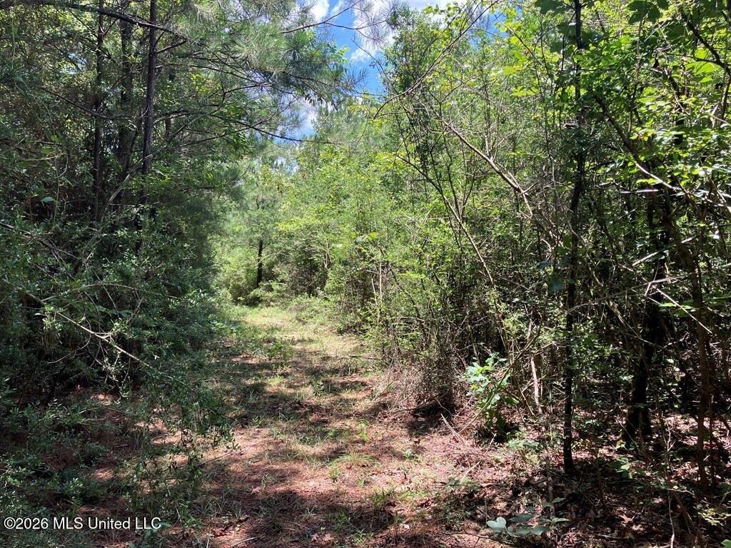 Ms-48 Property Photo 1