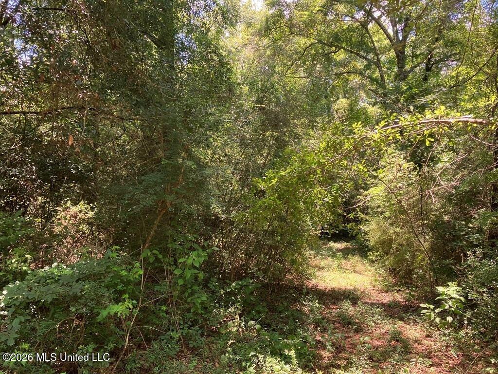 Ms-48 Property Photo 3