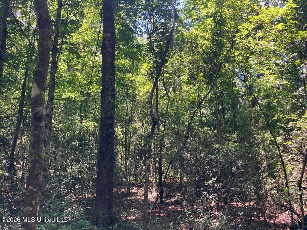 Ms-48 Property Photo 5