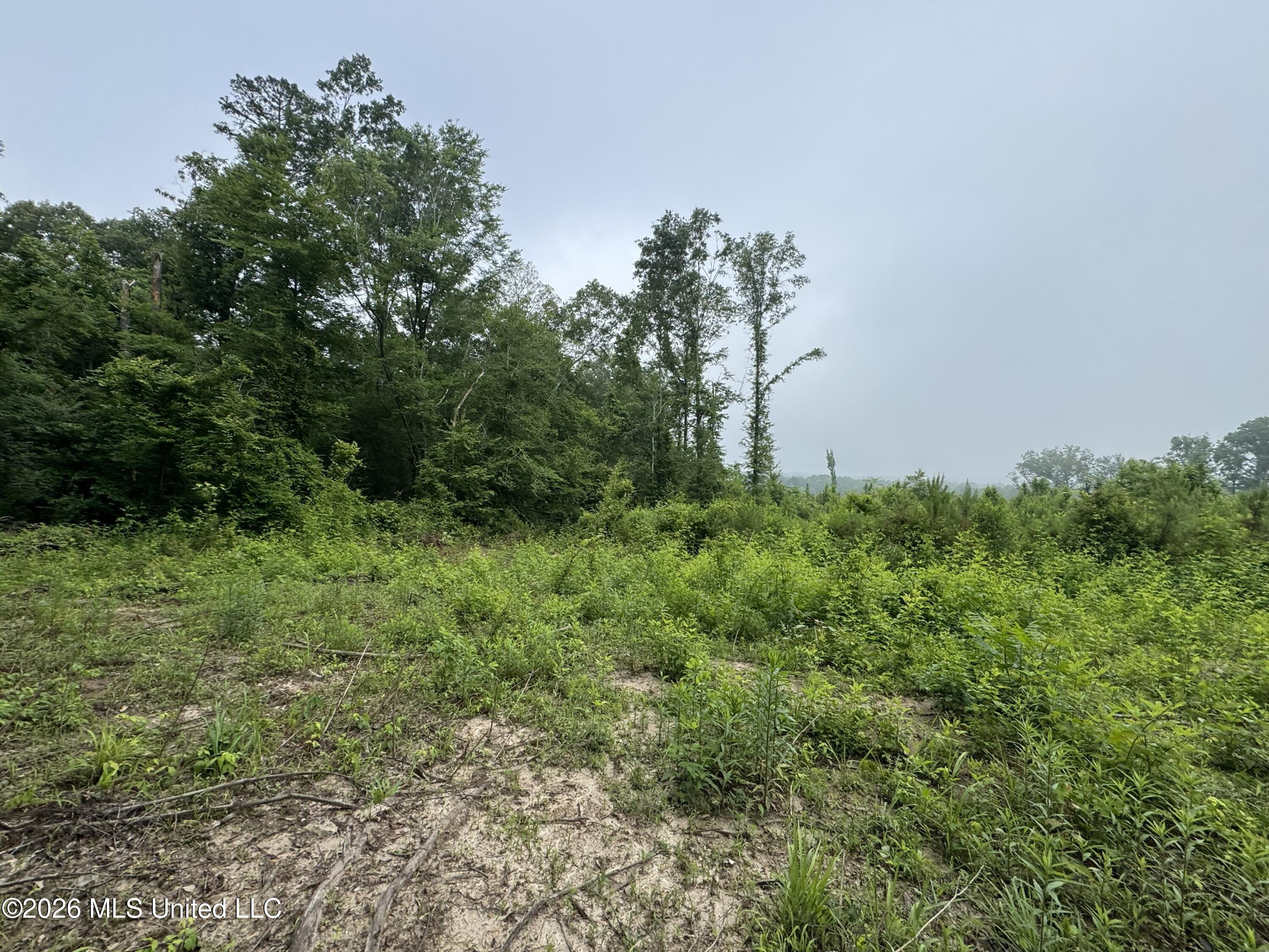 W Gallatin Street Property Photo 9