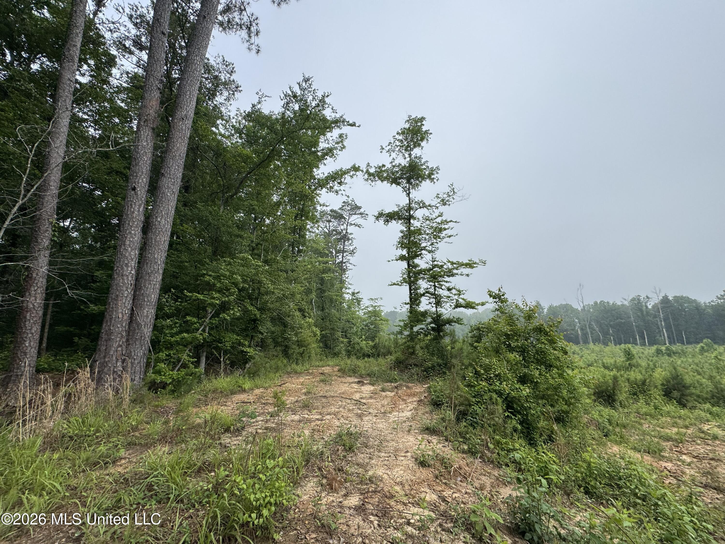 W Gallatin Street Property Photo 10