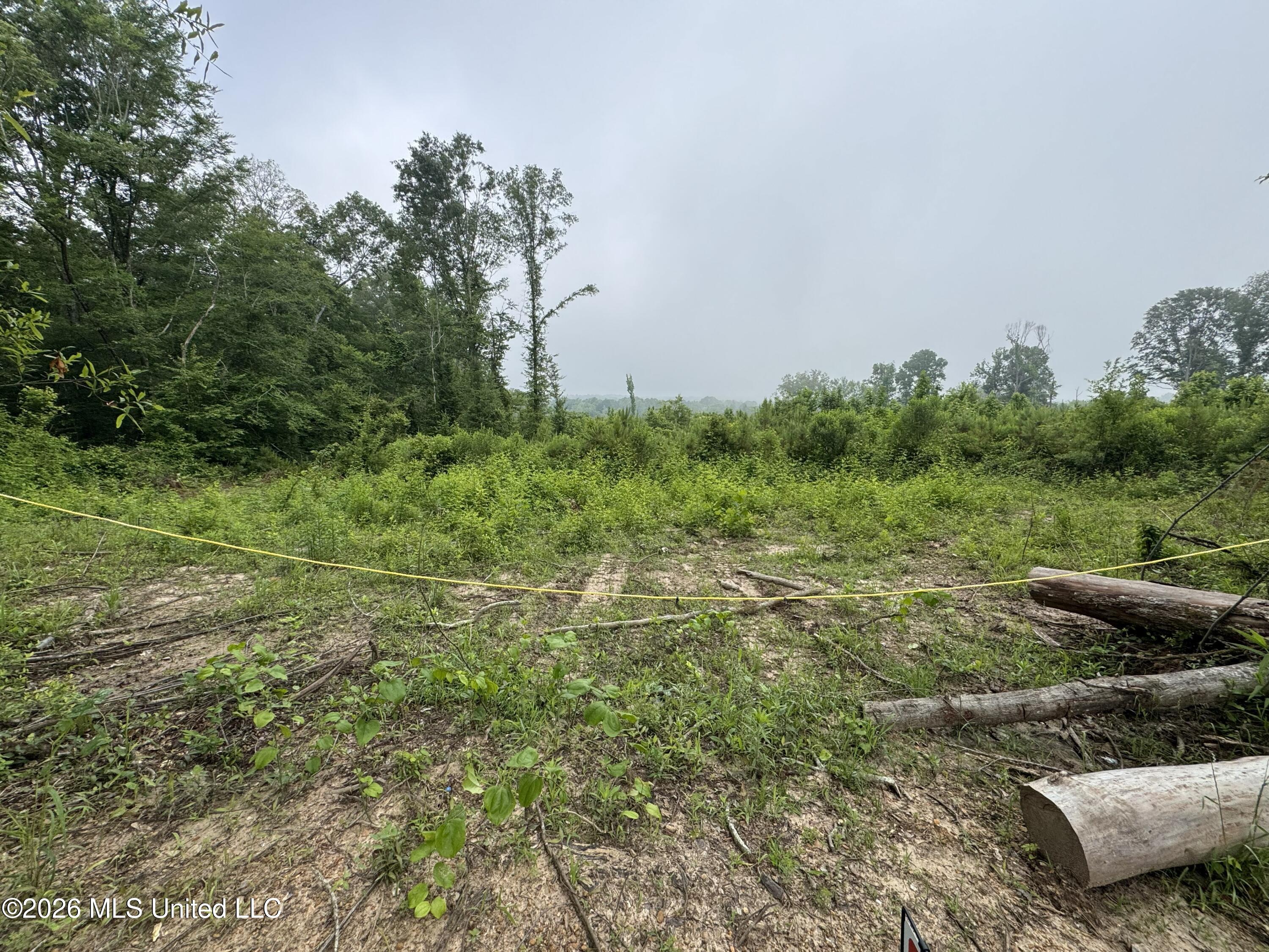 W Gallatin Street Property Photo 11