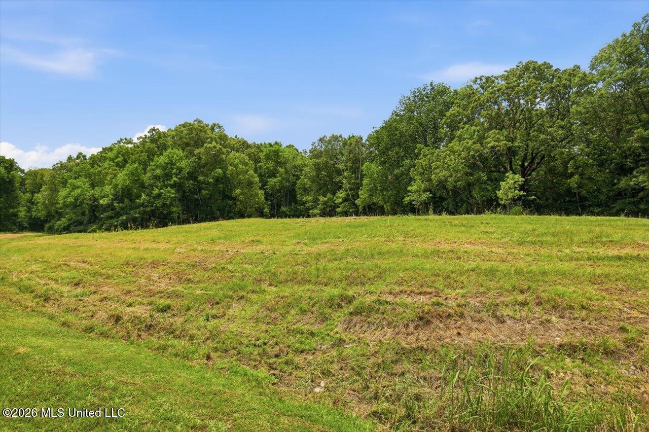 177 Chestnut Hill Road Property Photo 1
