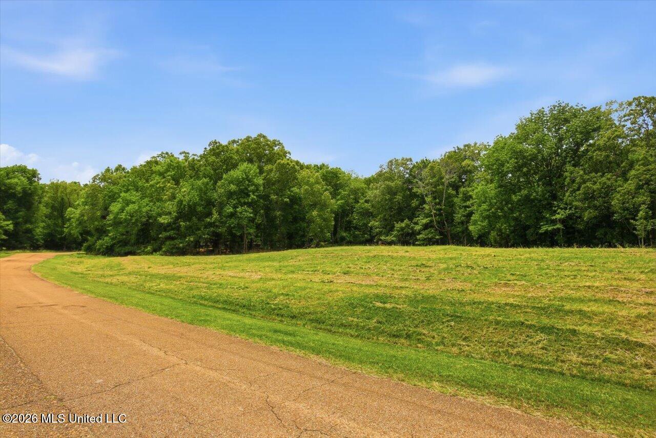 177 Chestnut Hill Road Property Photo 4