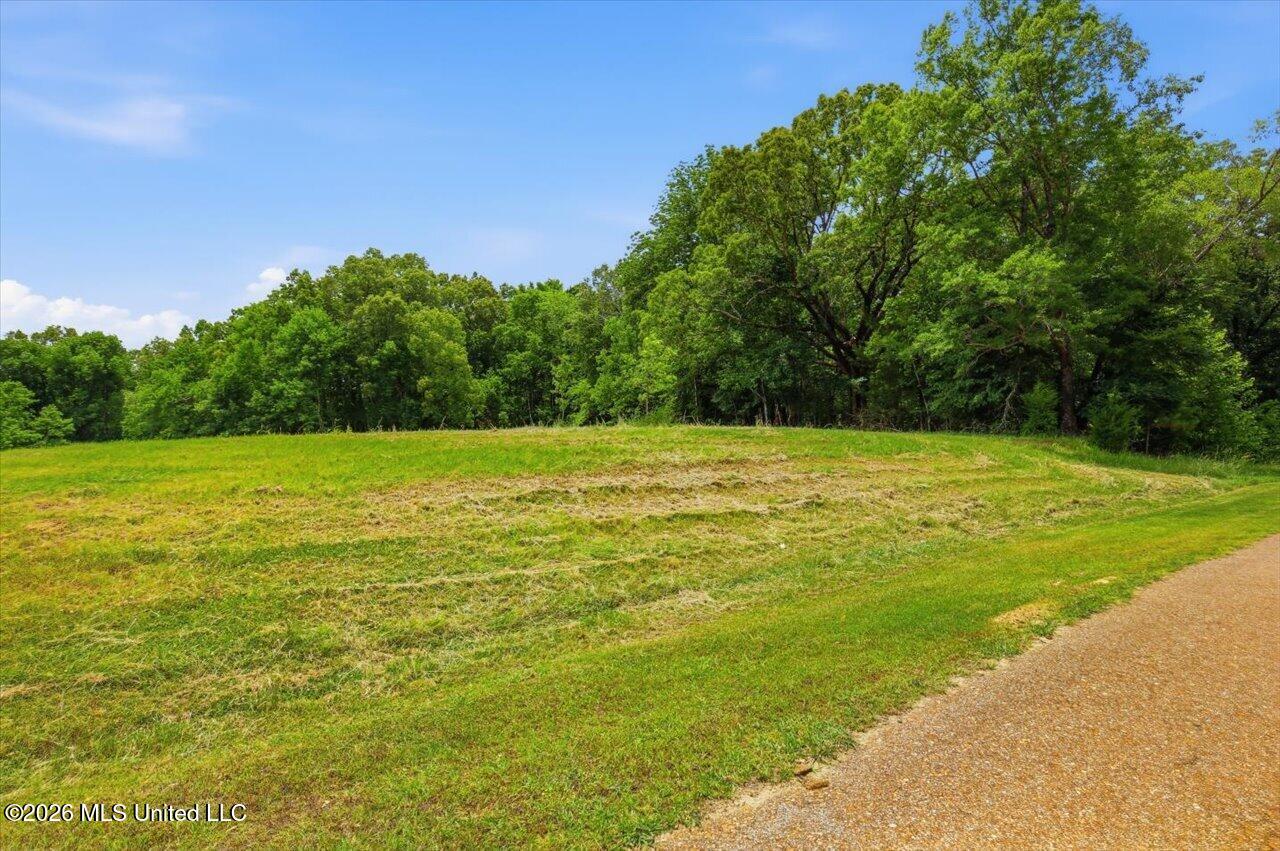 177 Chestnut Hill Road Property Photo 5