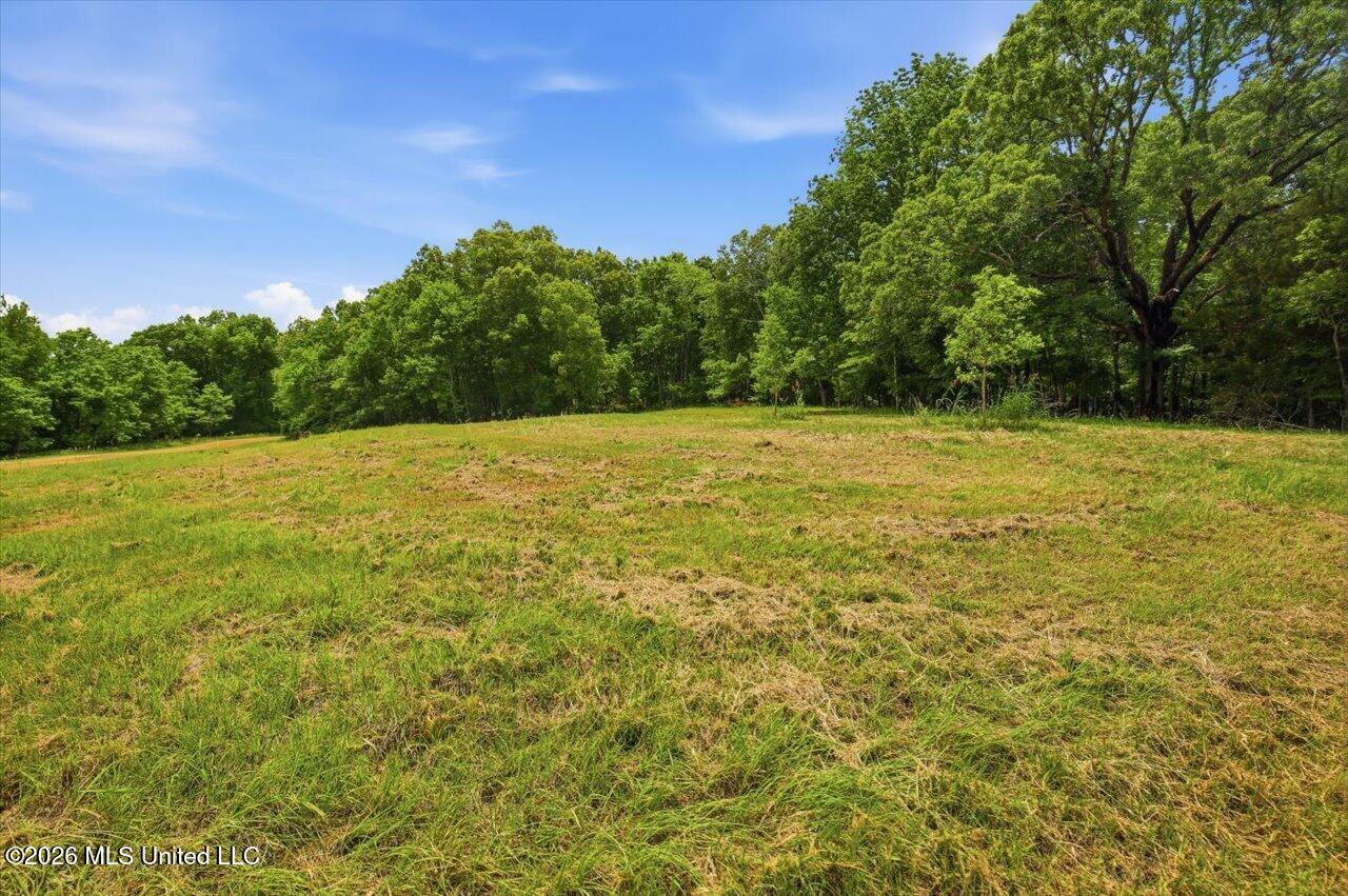177 Chestnut Hill Road Property Photo 6