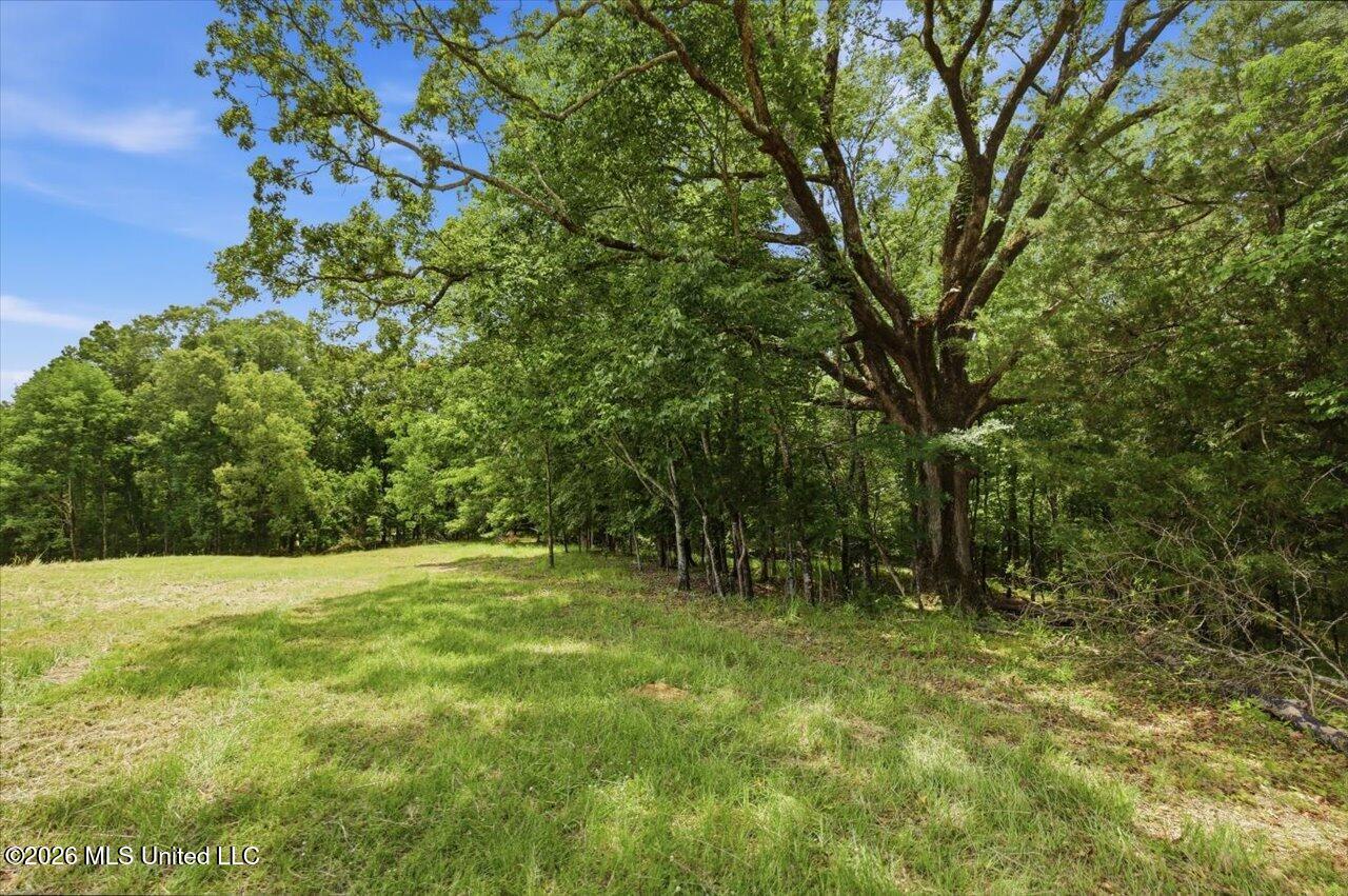 177 Chestnut Hill Road Property Photo 7