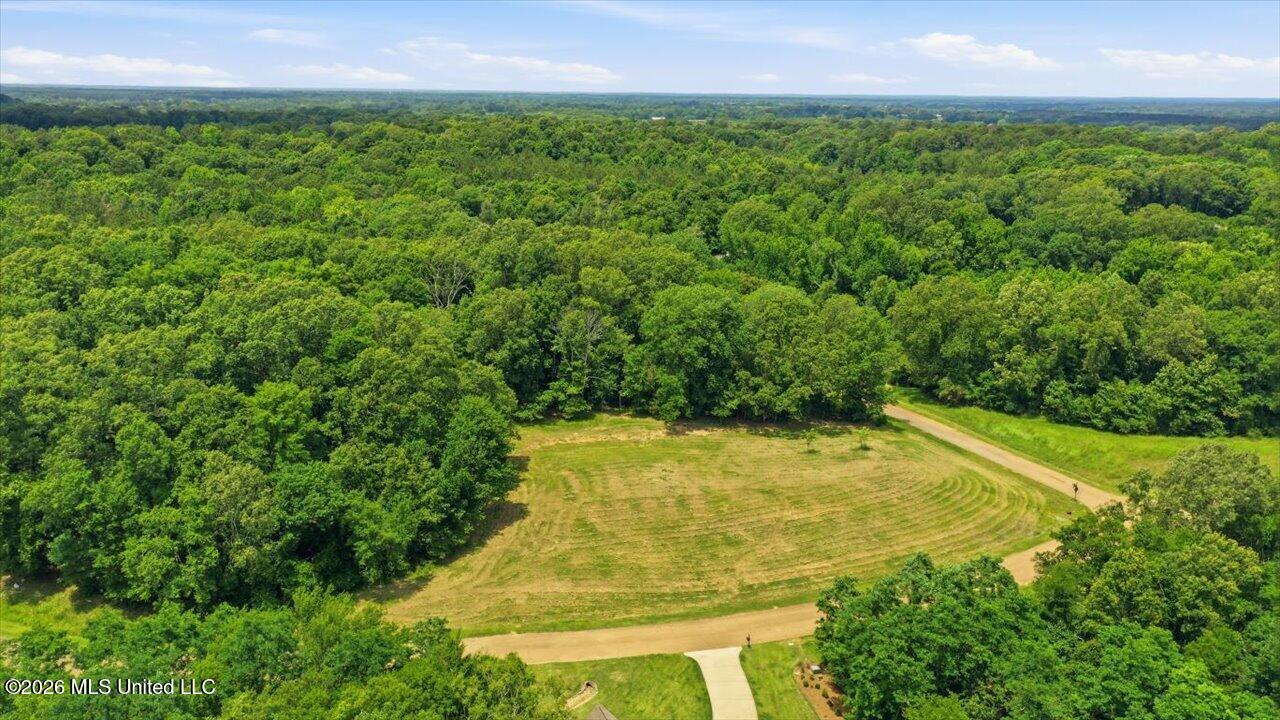 177 Chestnut Hill Road Property Photo 12