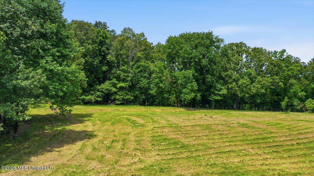 177 Chestnut Hill Road Property Photo 18