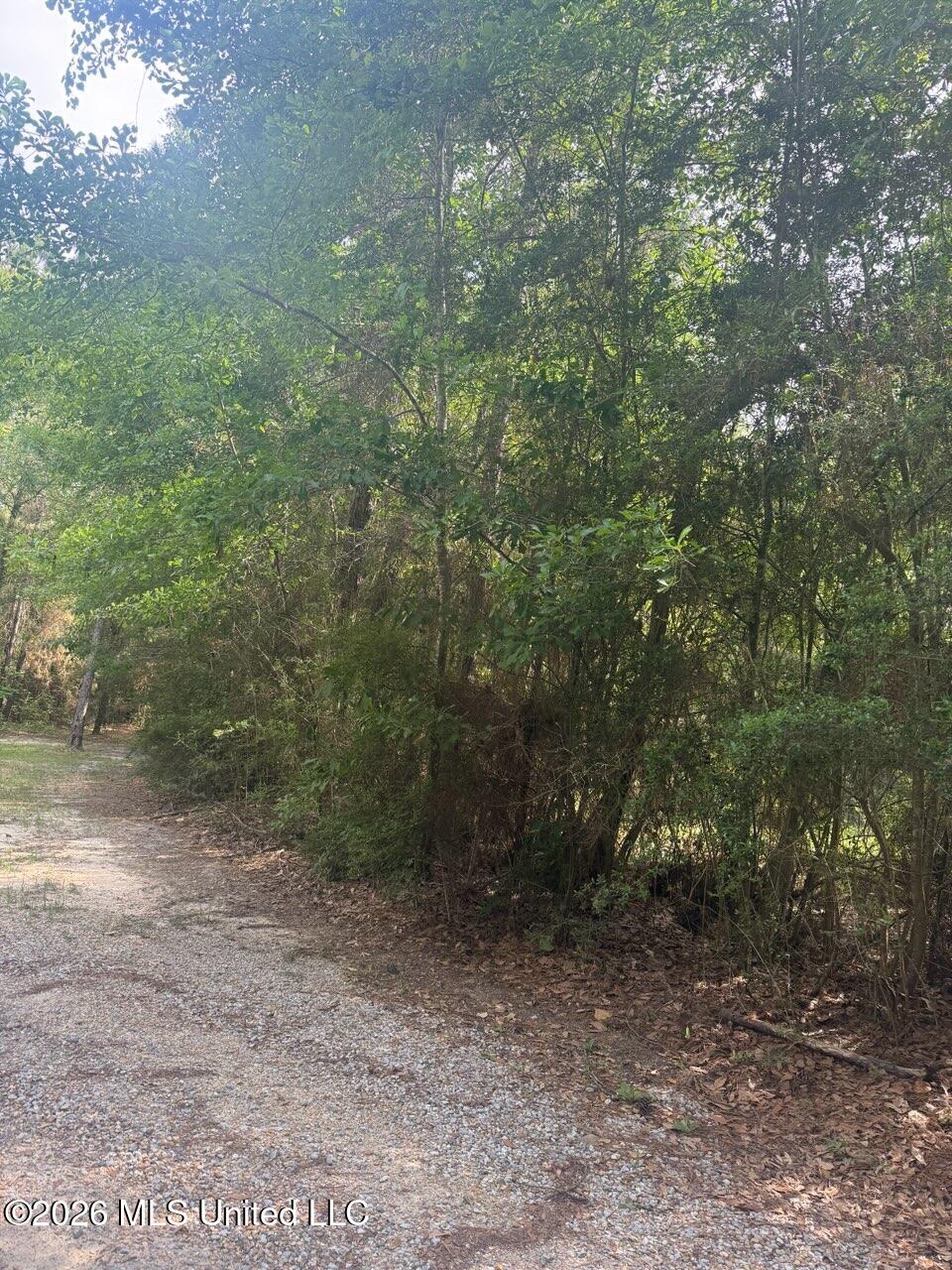 0 16th Section Road Property Photo 1