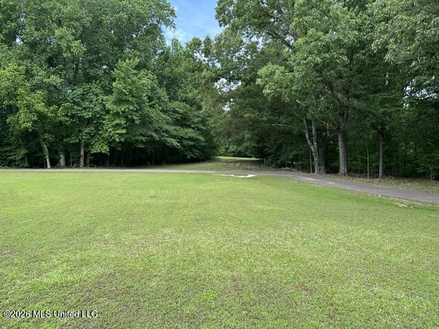 9210 Highway 315 Property Photo 2