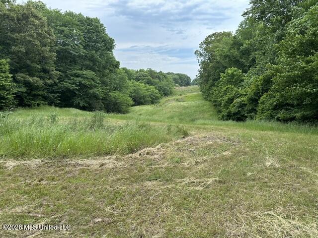 9210 Highway 315 Property Photo 4