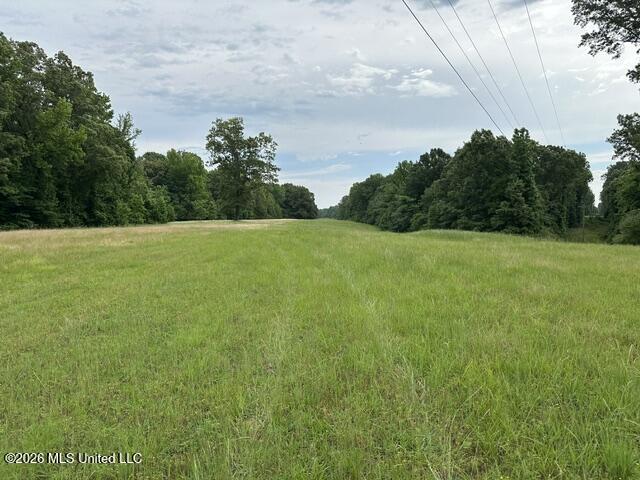 9210 Highway 315 Property Photo 5