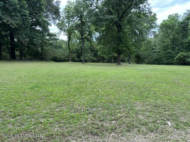 9210 Highway 315 Property Photo 6