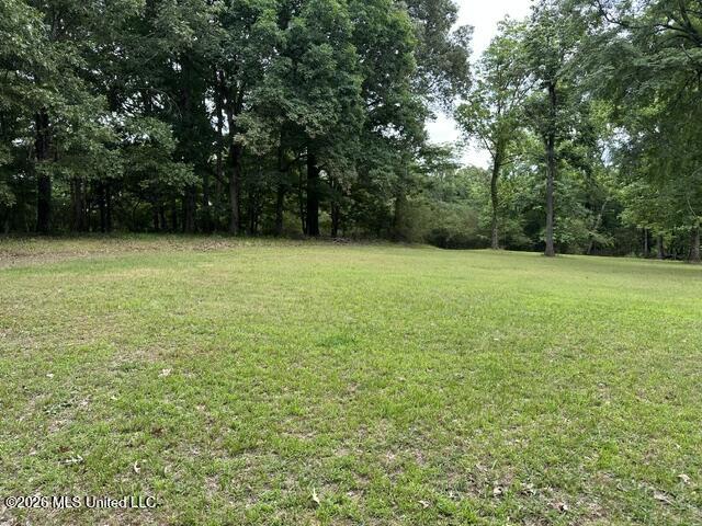 9210 Highway 315 Property Photo 7