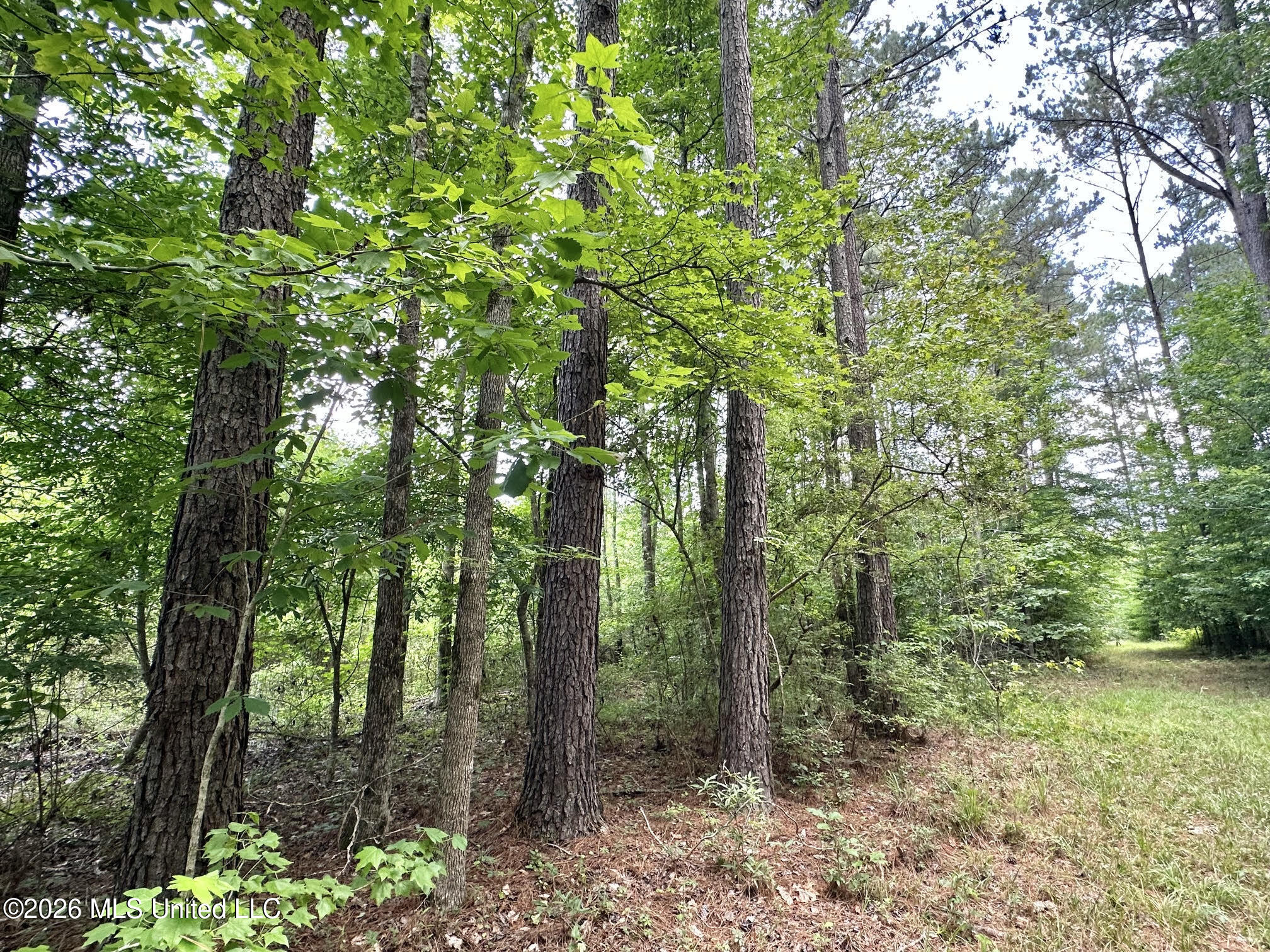 1 Highway 483 Property Photo 2