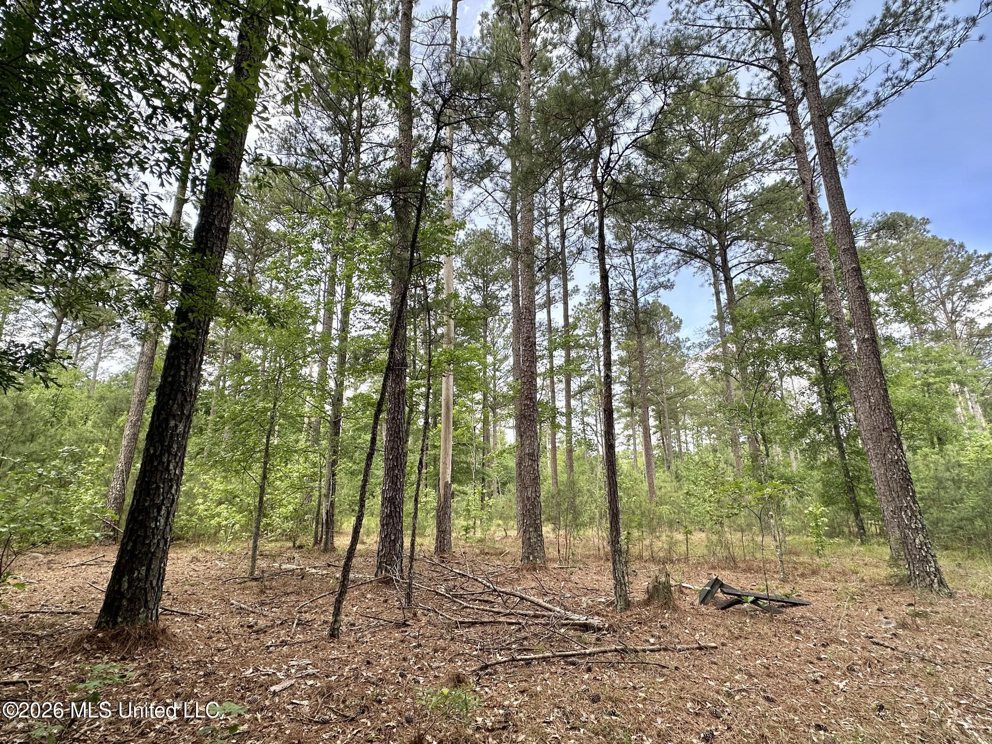1 Highway 483 Property Photo 3