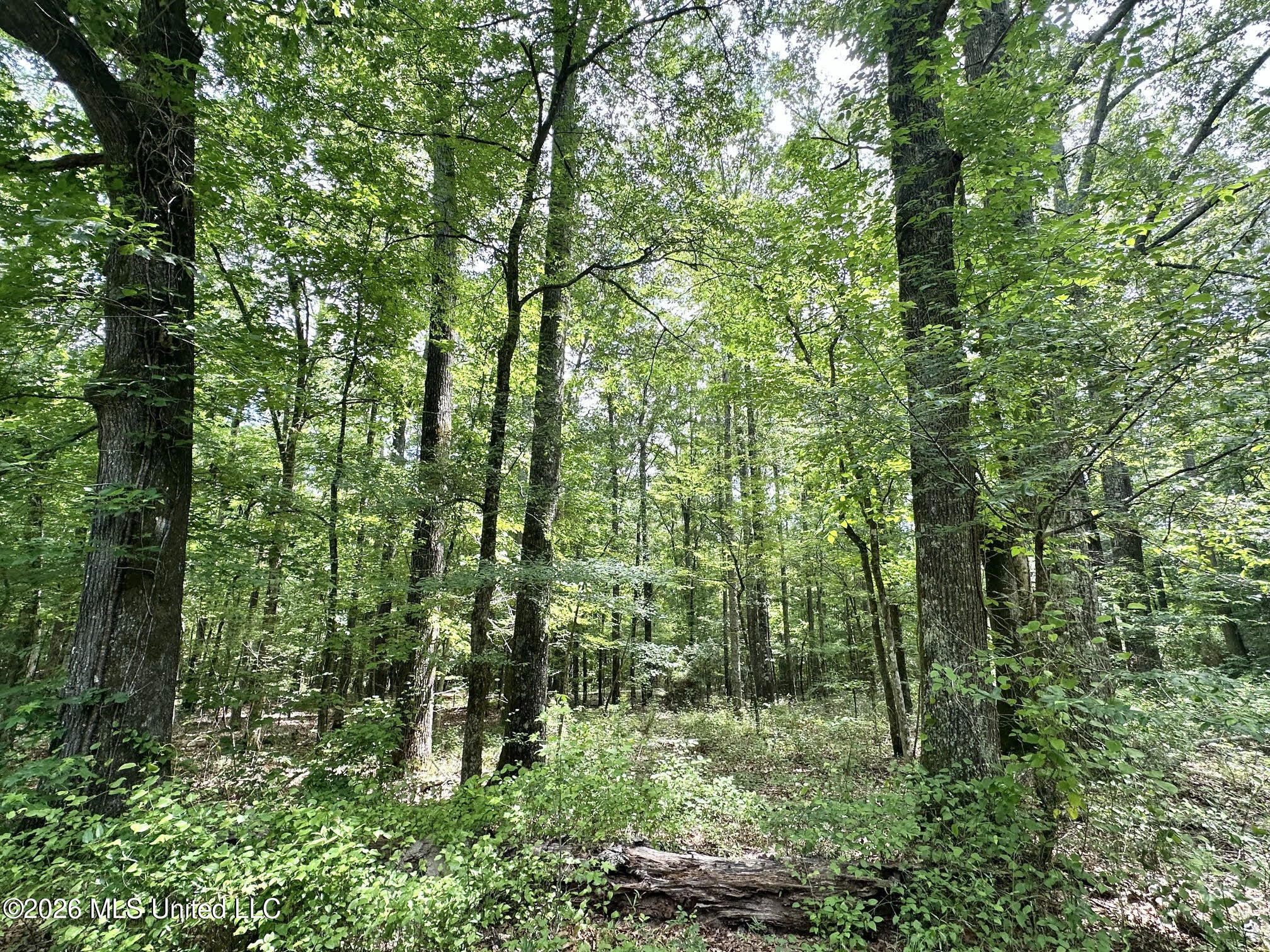 1 Highway 483 Property Photo 4