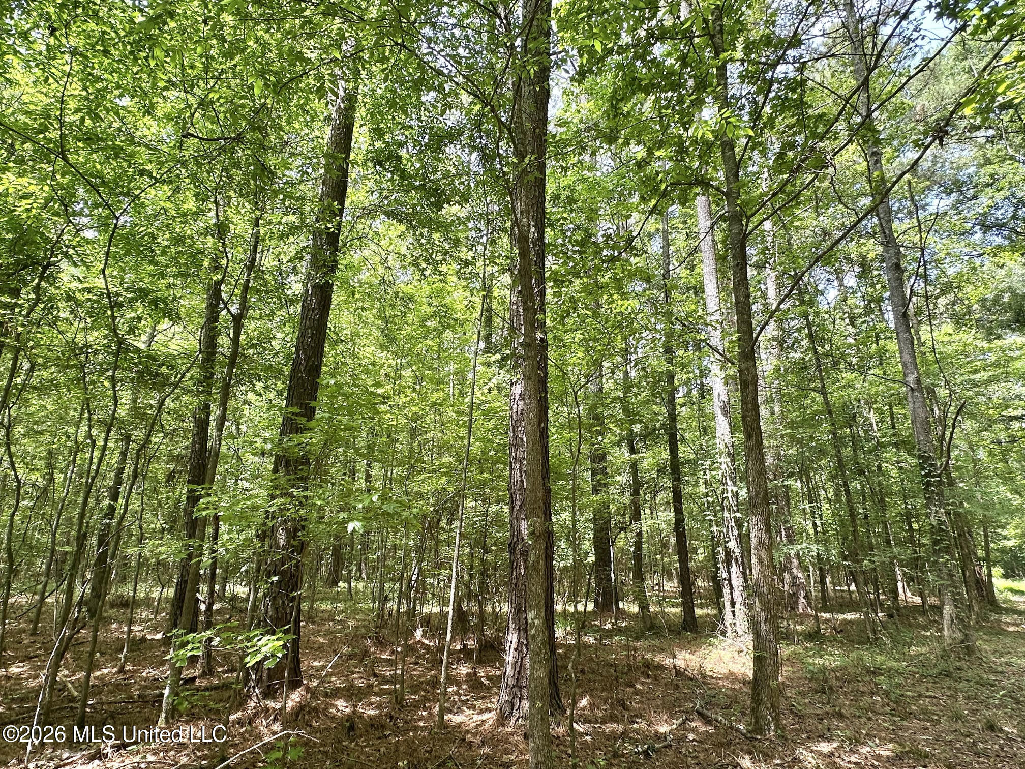 1 Highway 483 Property Photo 5